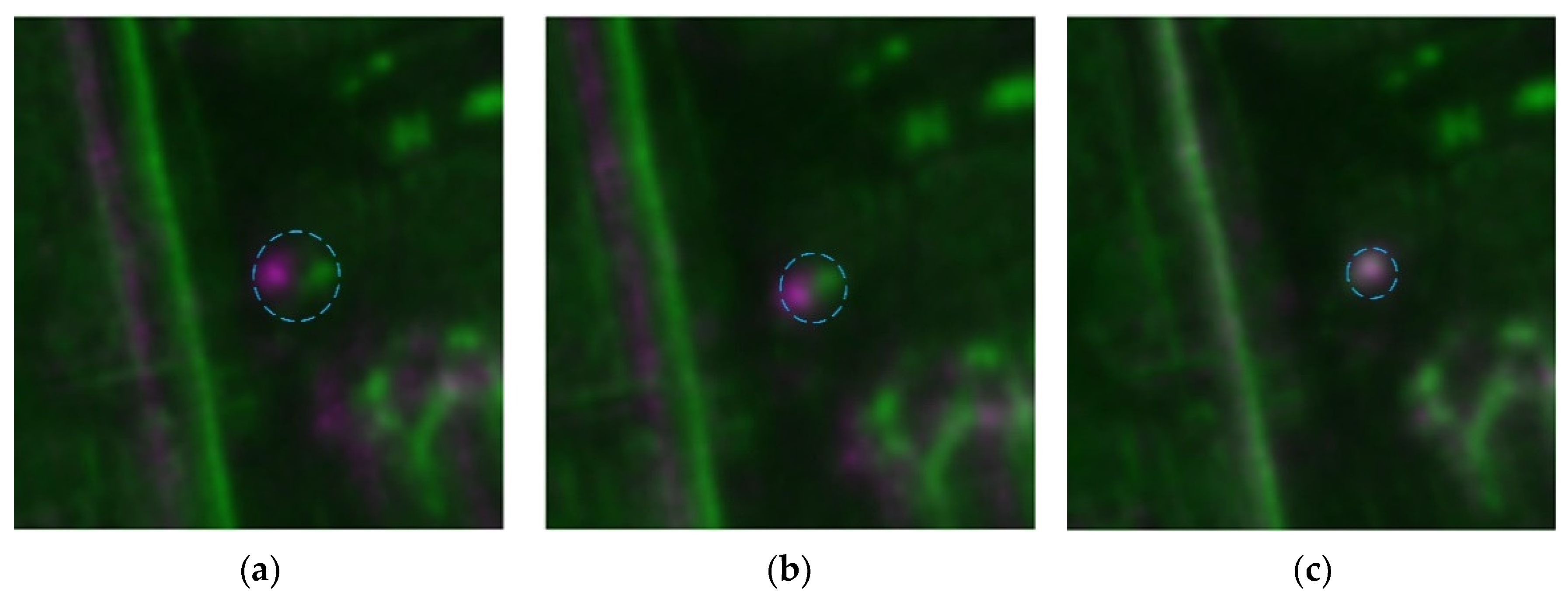 Remotesensing 14 02509 g008 550
