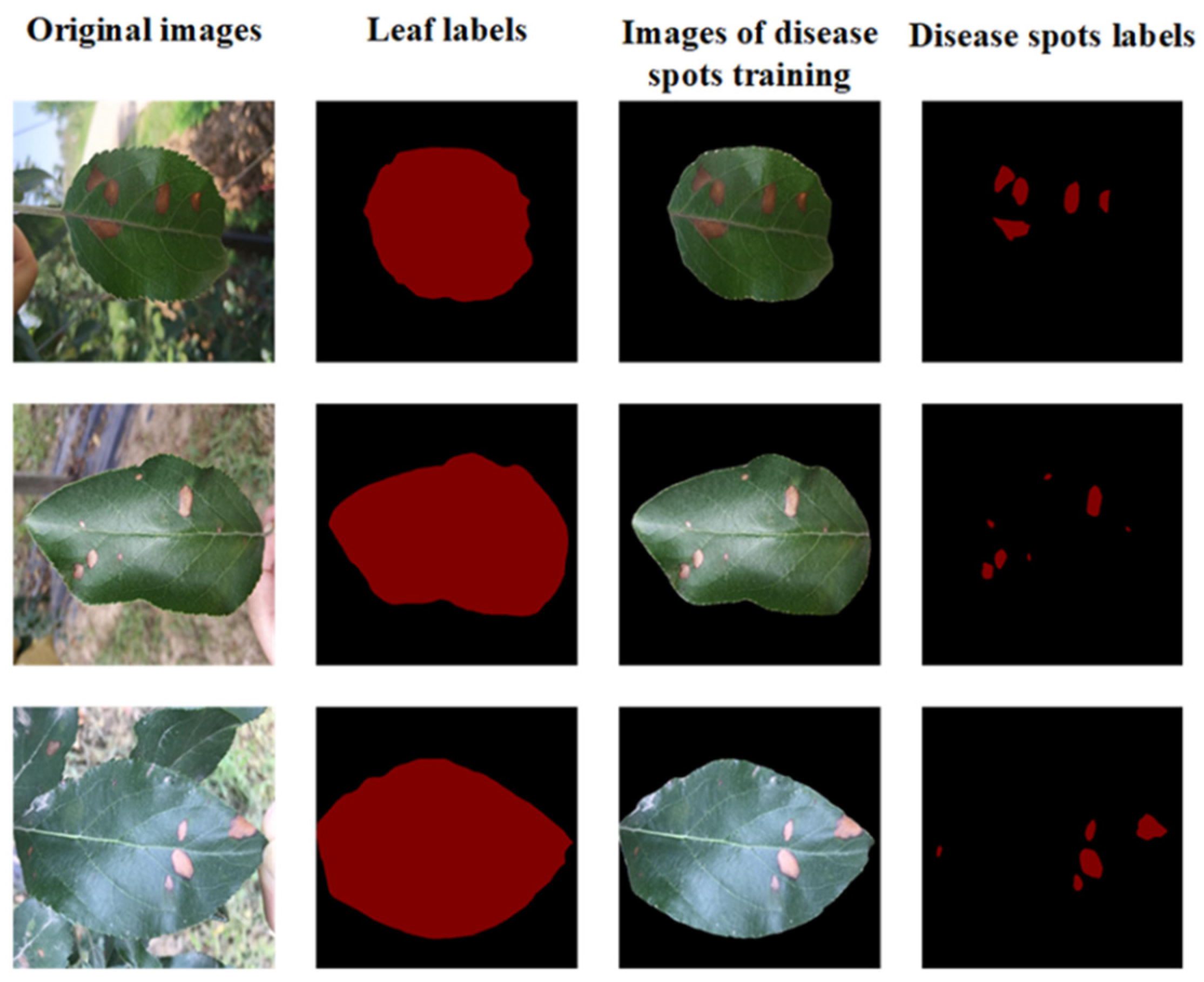 Remotesensing 14 02519 g001