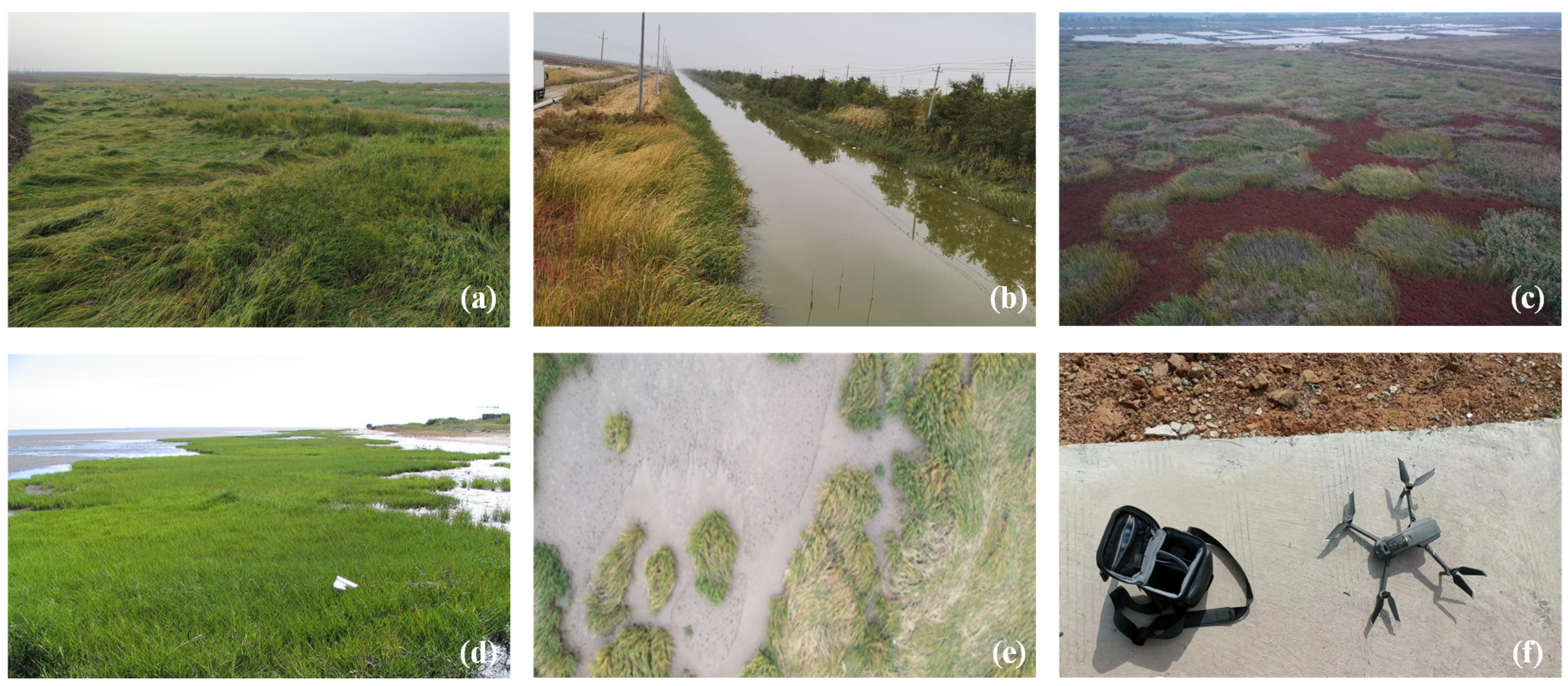 Remotesensing 14 02630 g002