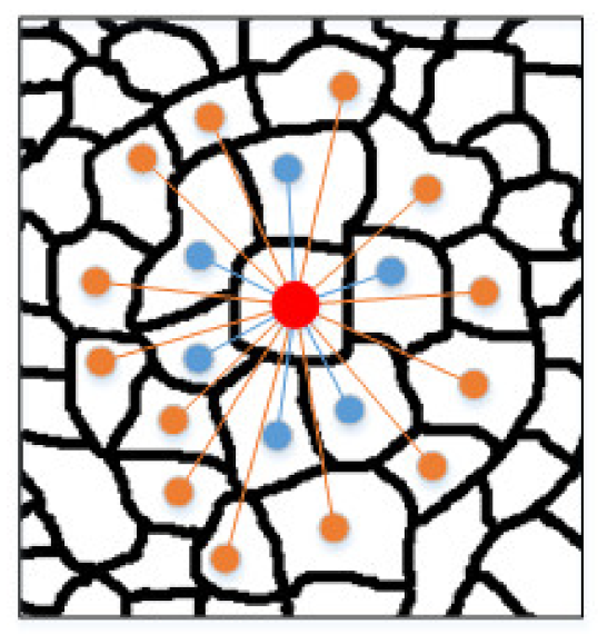 Remotesensing 14 02653 g002 550