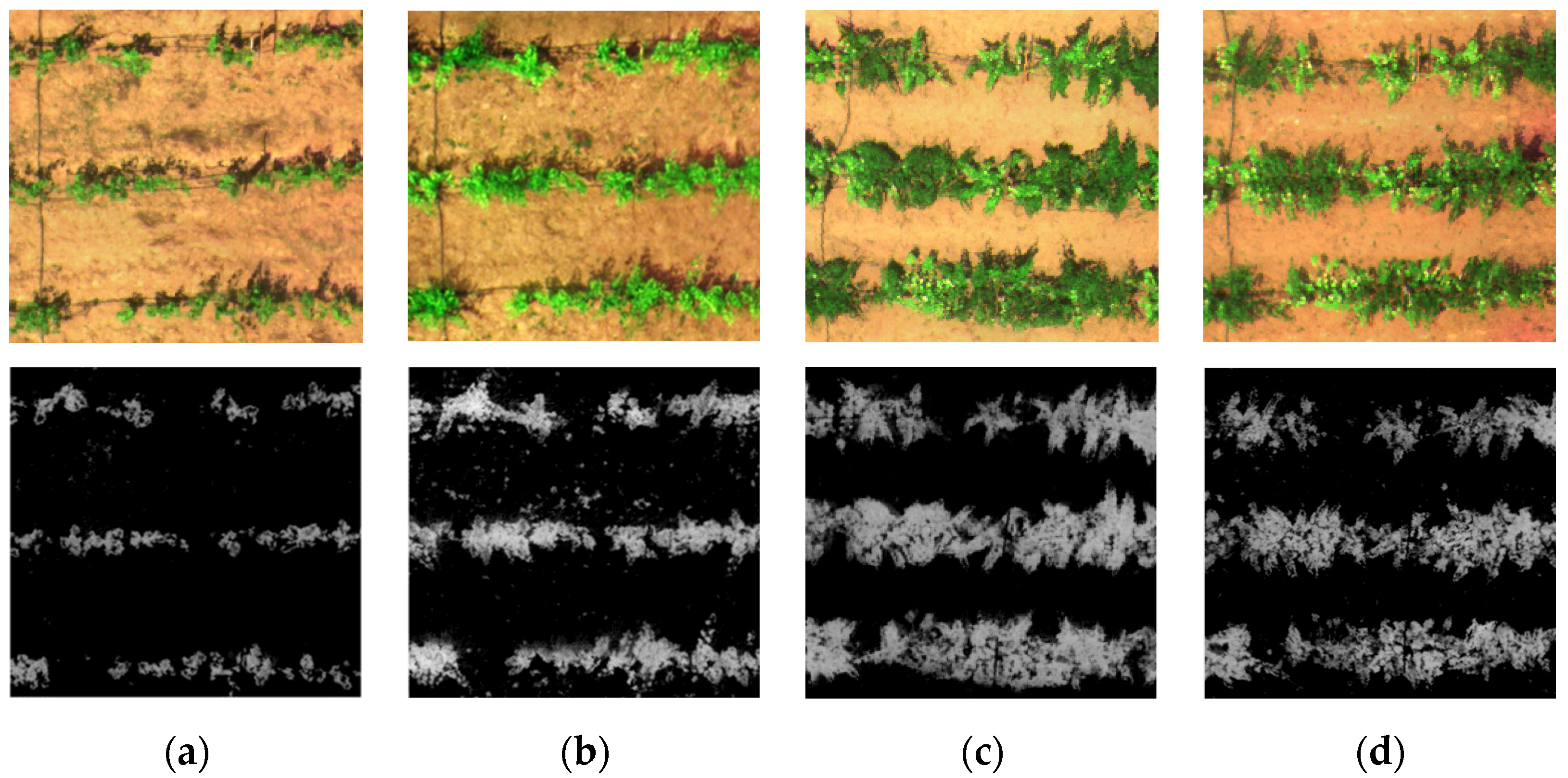 Remotesensing 14 02659 g002