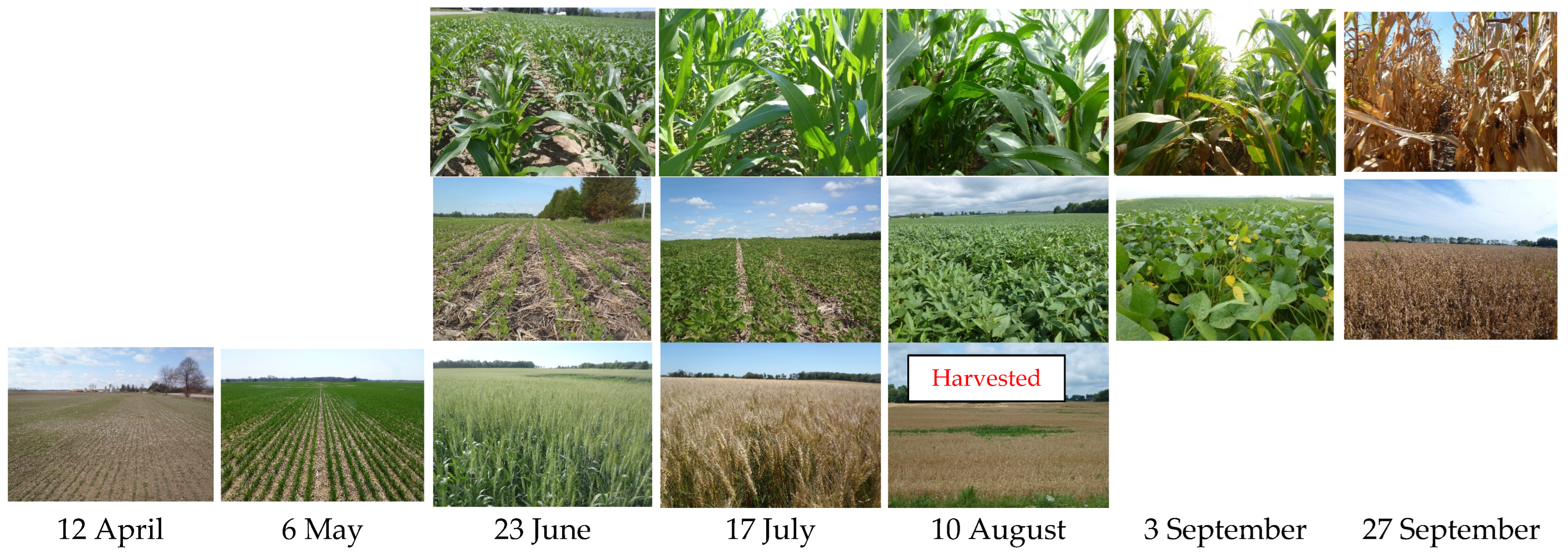 Remotesensing 14 02668 g002