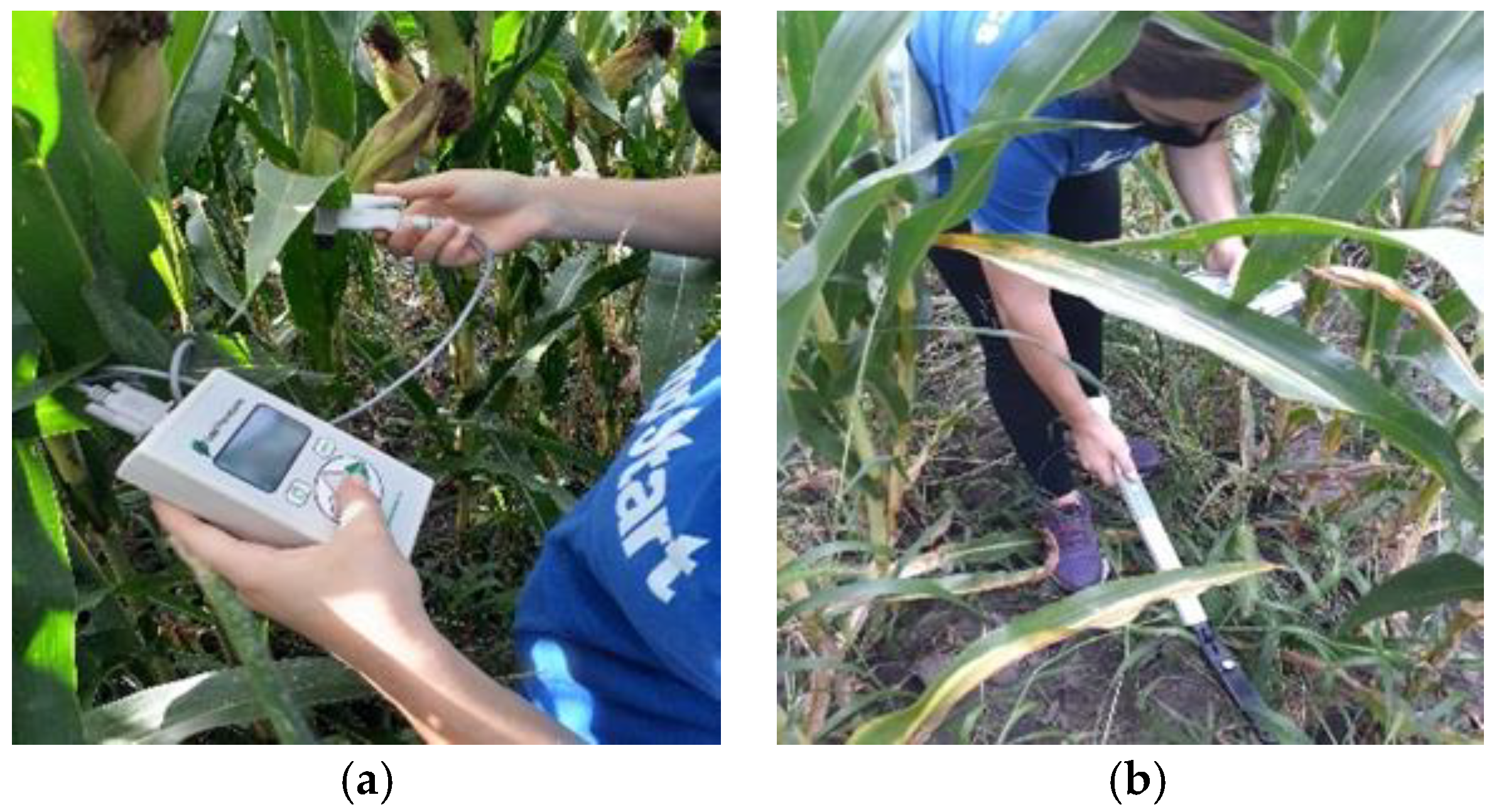 Remotesensing 14 02682 g002