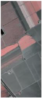 Remotesensing 14 02713 i017