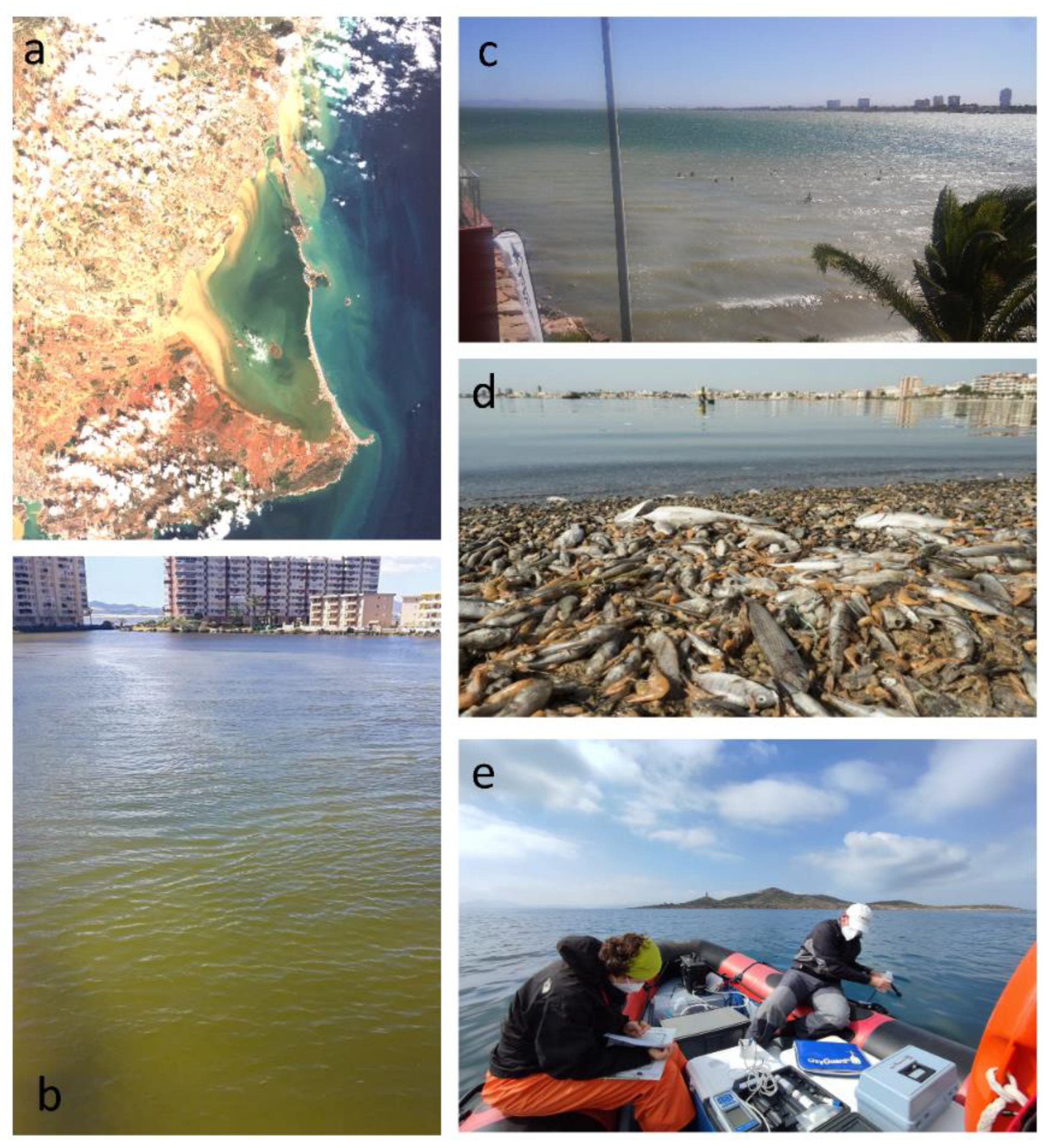 Remotesensing 14 02744 g003