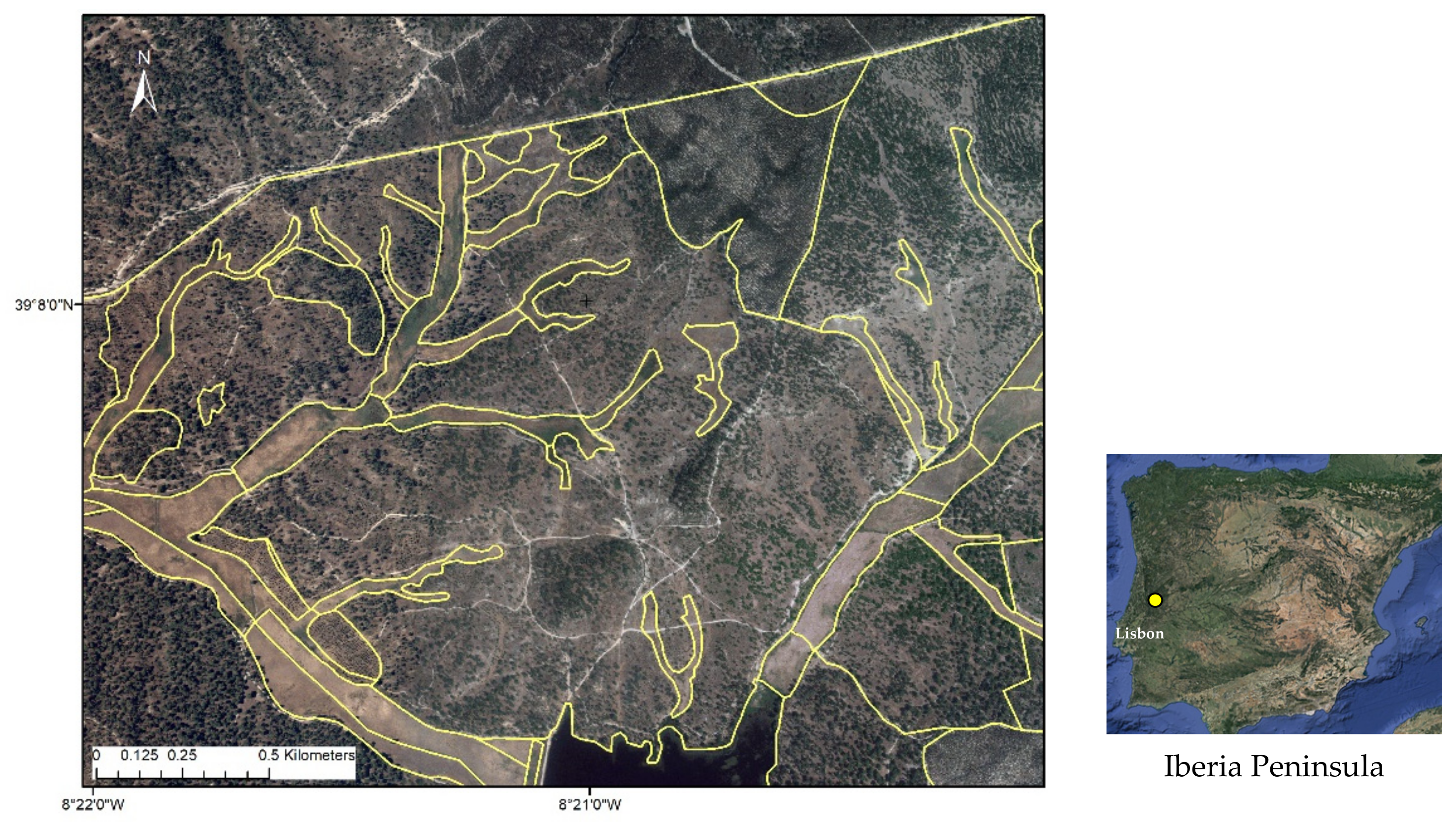Remotesensing 14 02750 g001 550
