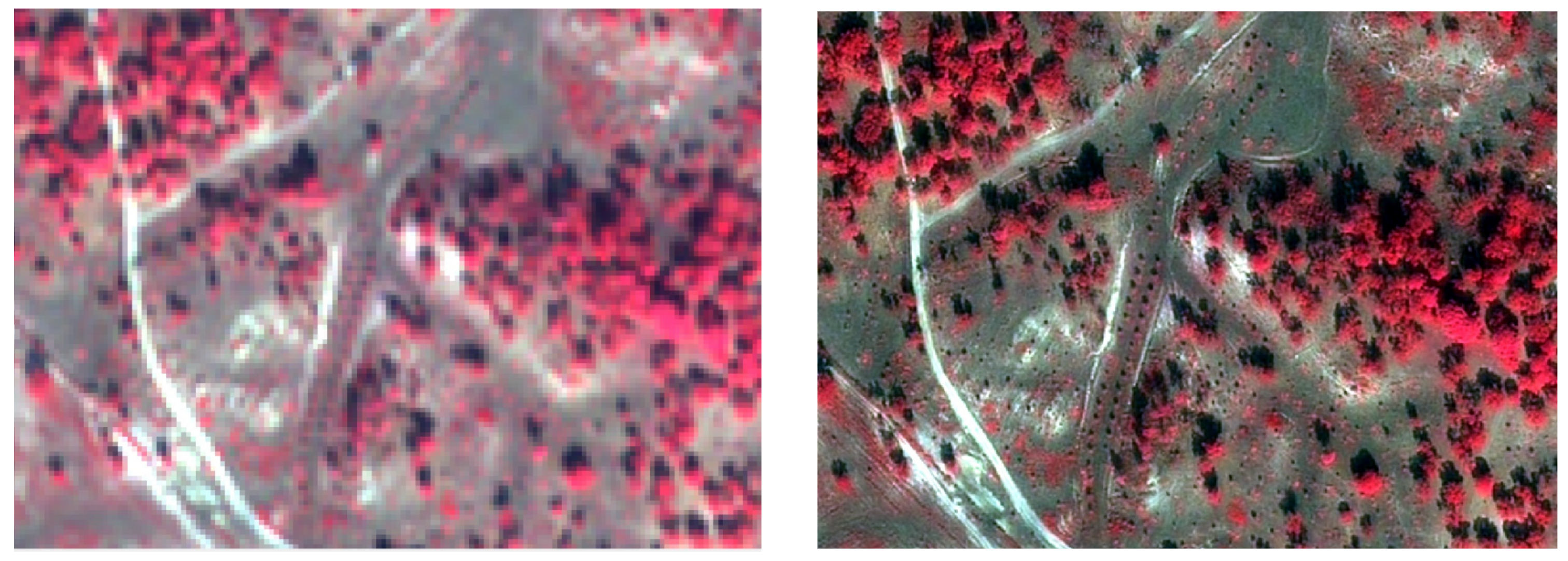 Remotesensing 14 02750 g002 550