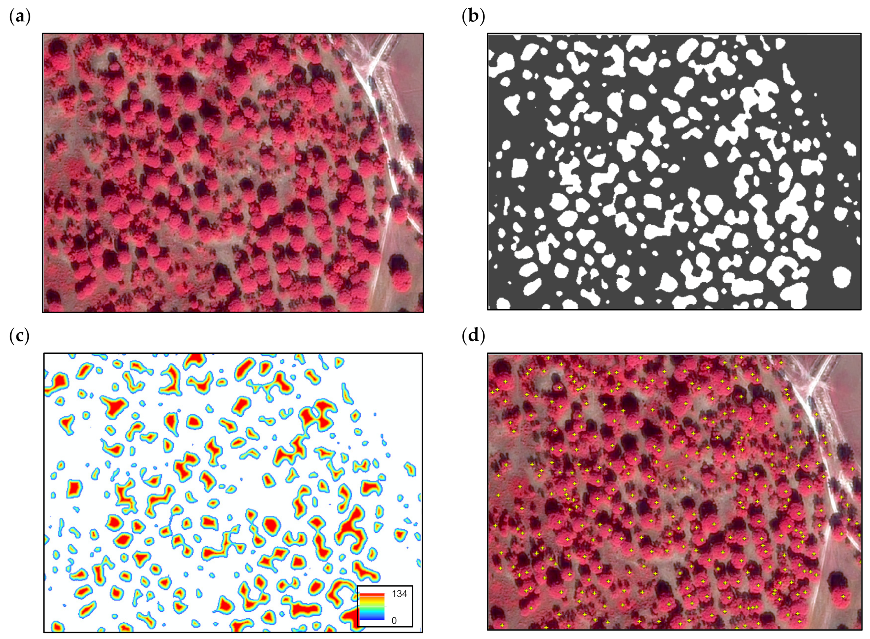 Remotesensing 14 02750 g003 550