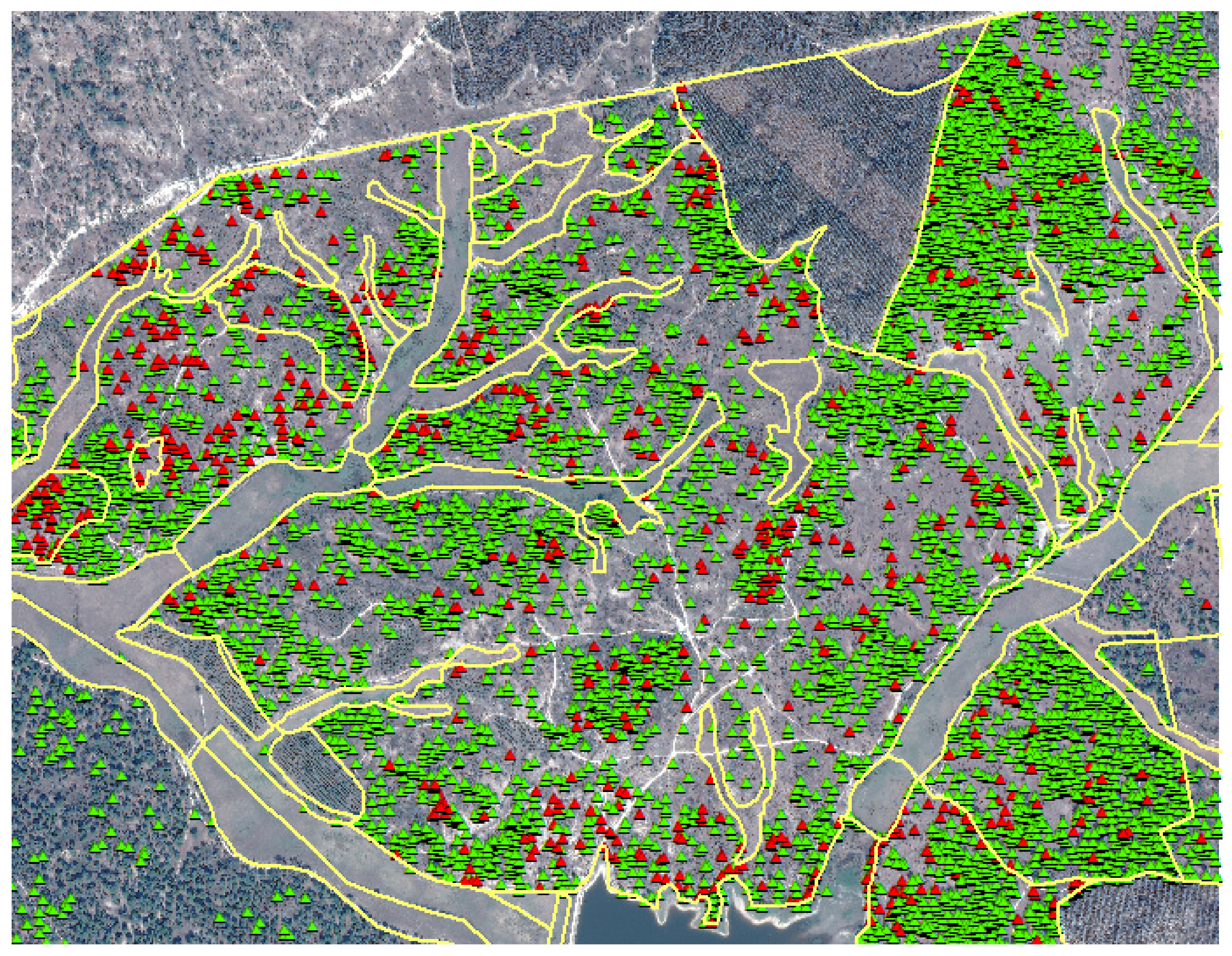 Remotesensing 14 02750 g008 550