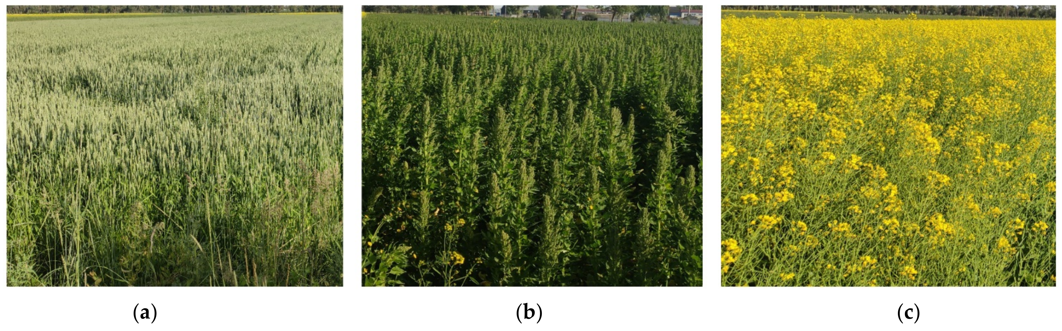 Remotesensing 14 02758 g002