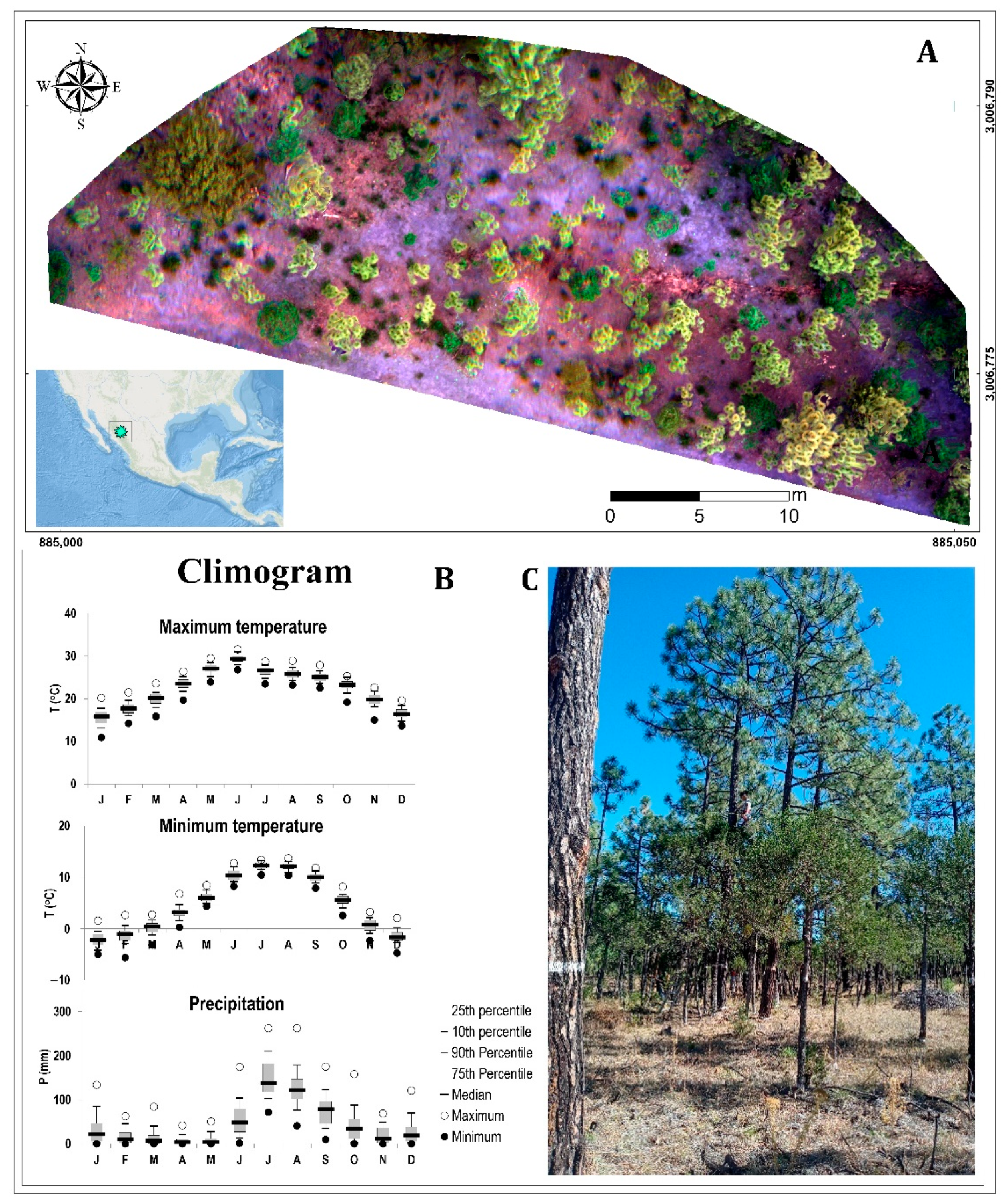 Remotesensing 14 02775 g001
