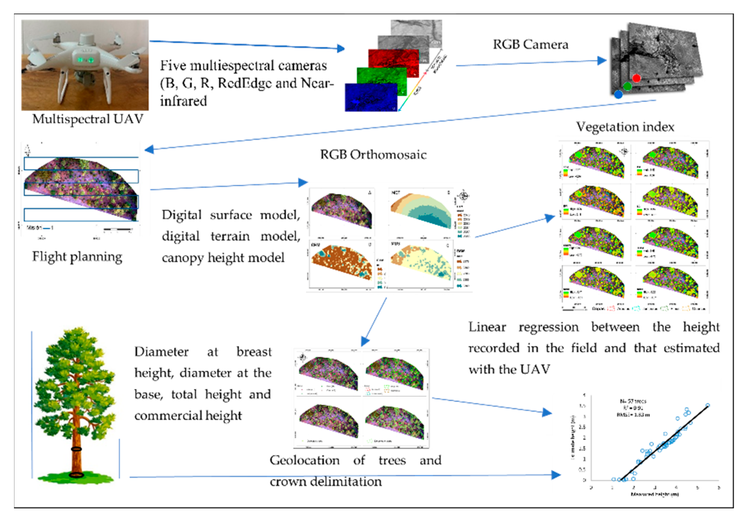 Remotesensing 14 02775 g002