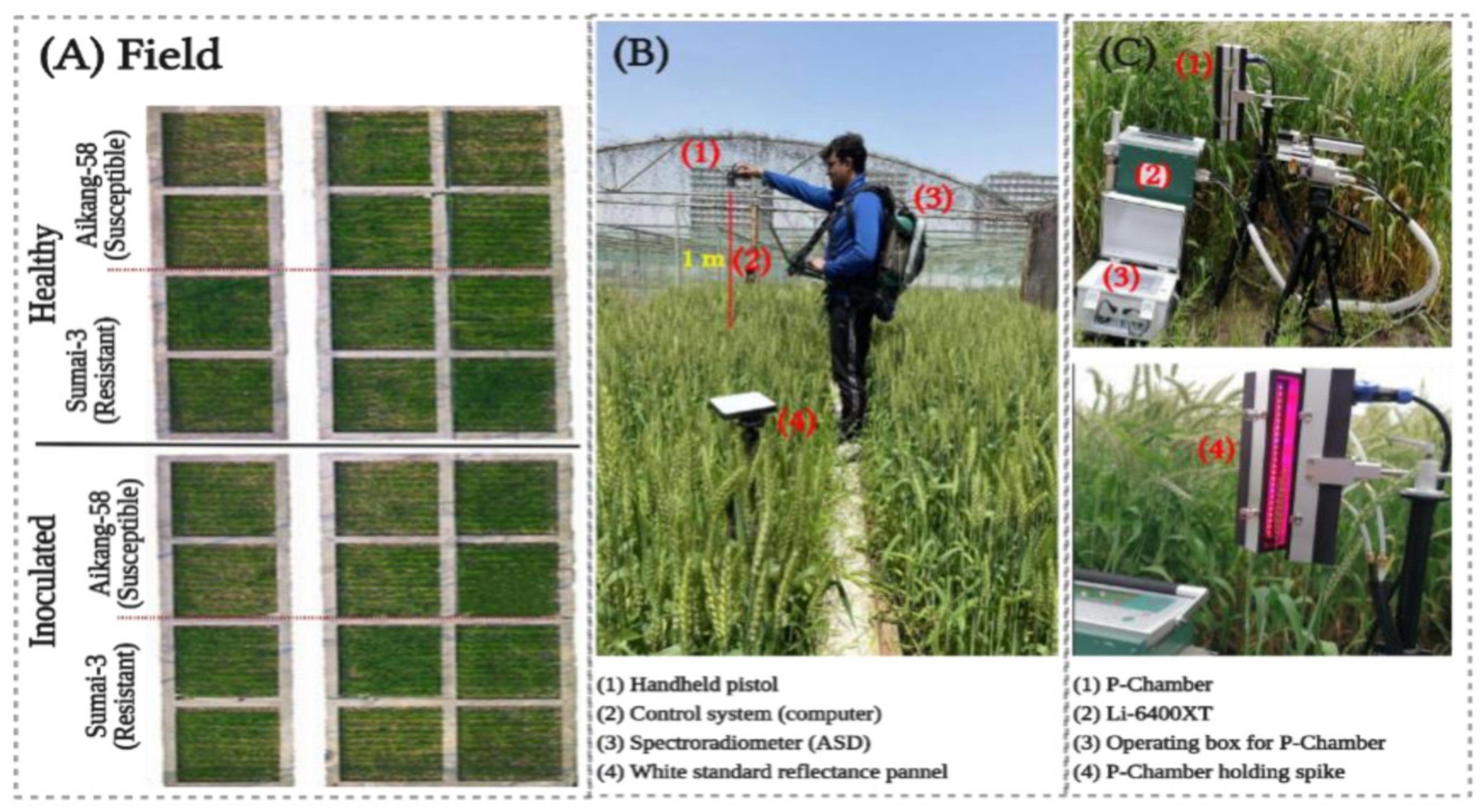 Remotesensing 14 02784 g001 550