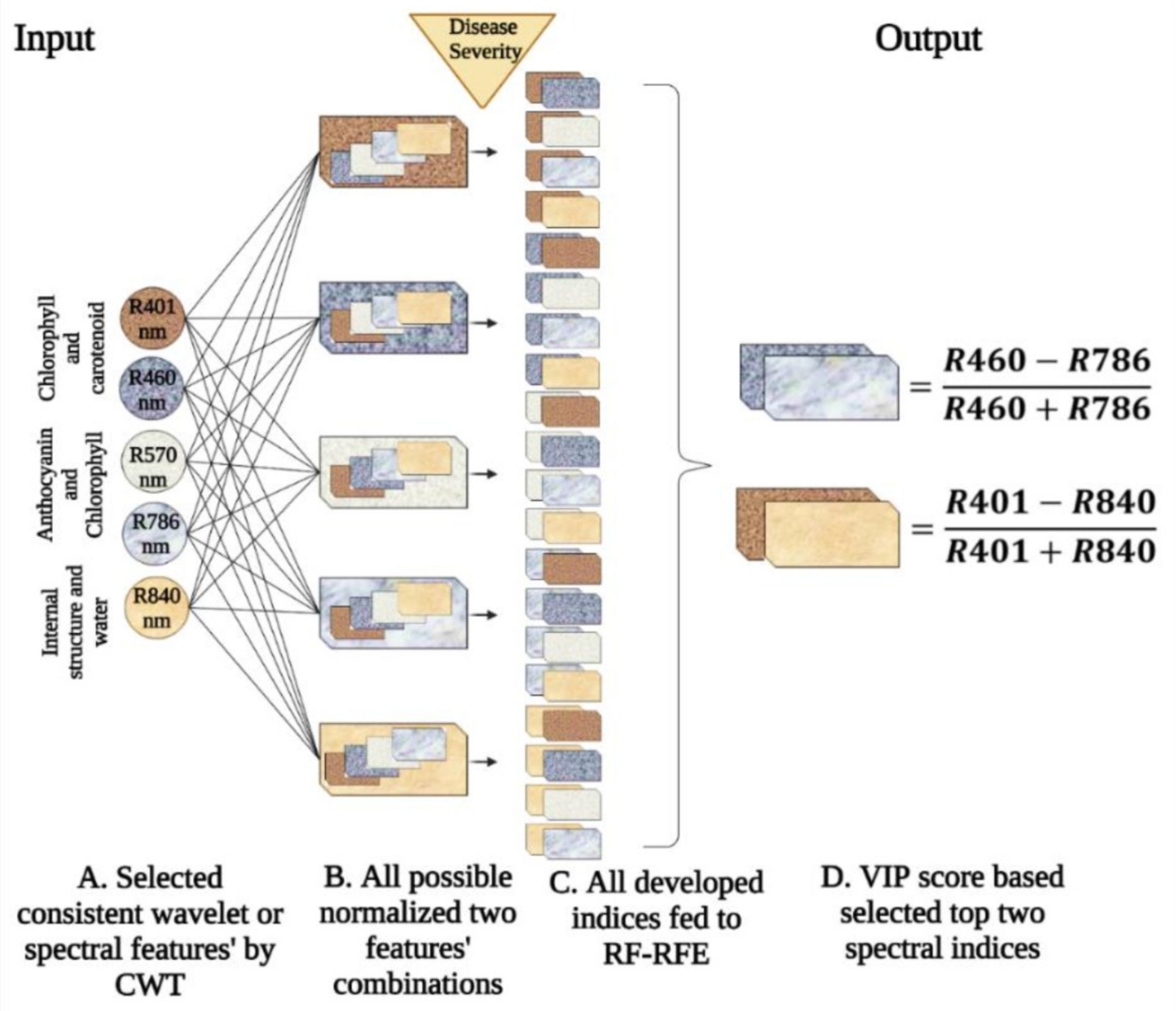 Remotesensing 14 02784 g006 550