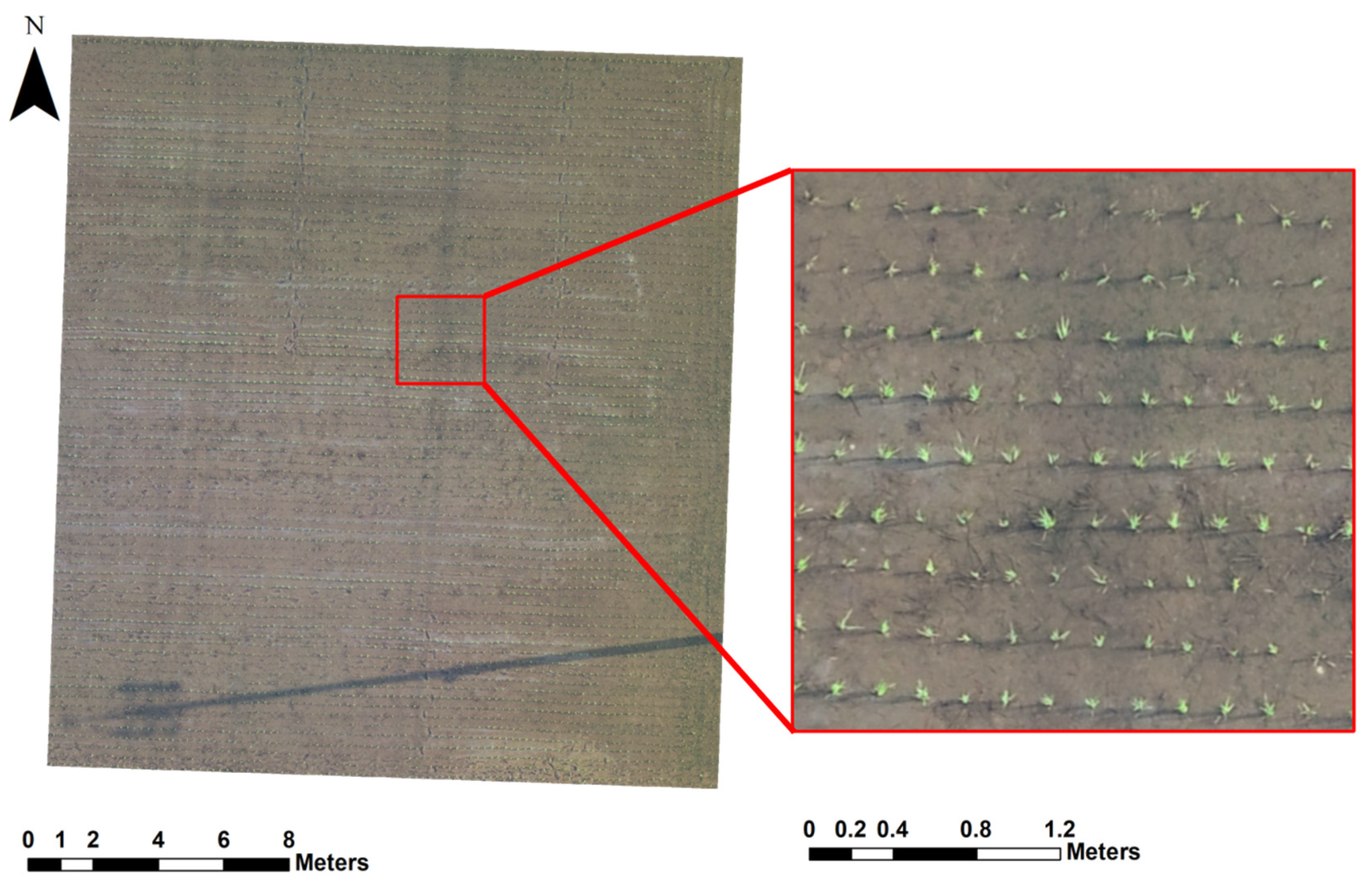 Remotesensing 14 02837 g003 550