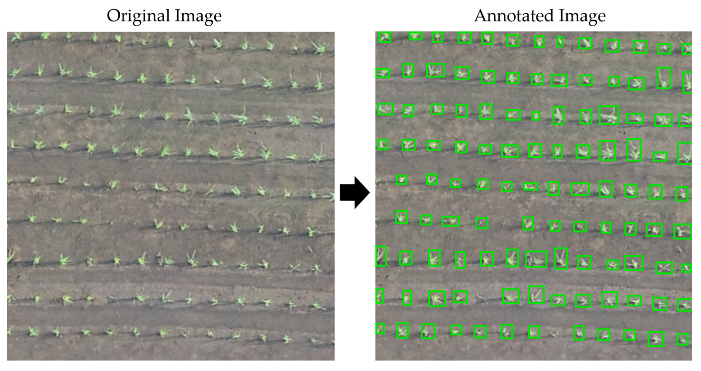 Remotesensing 14 02837 g006 550