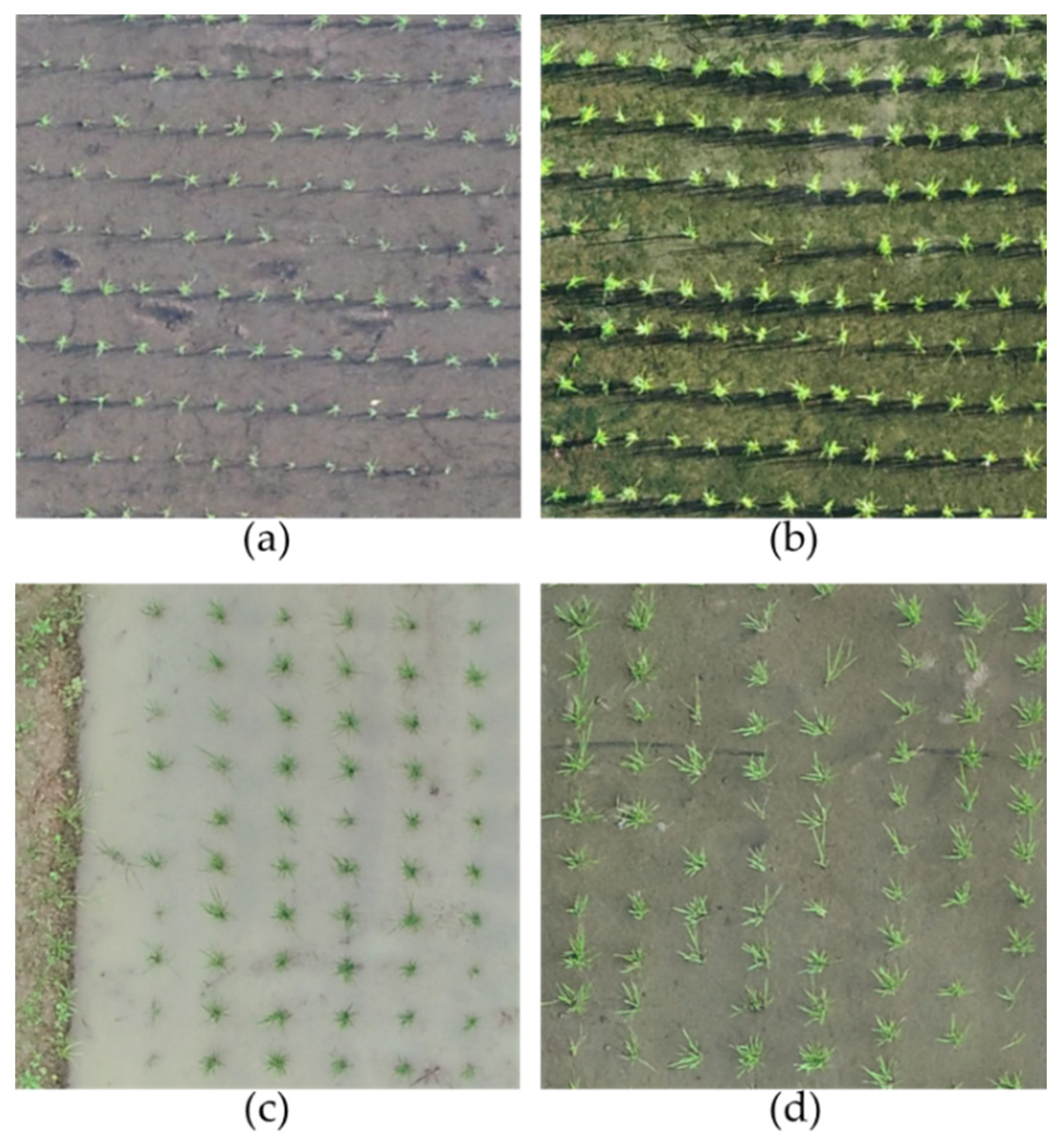 Remotesensing 14 02837 g017 550