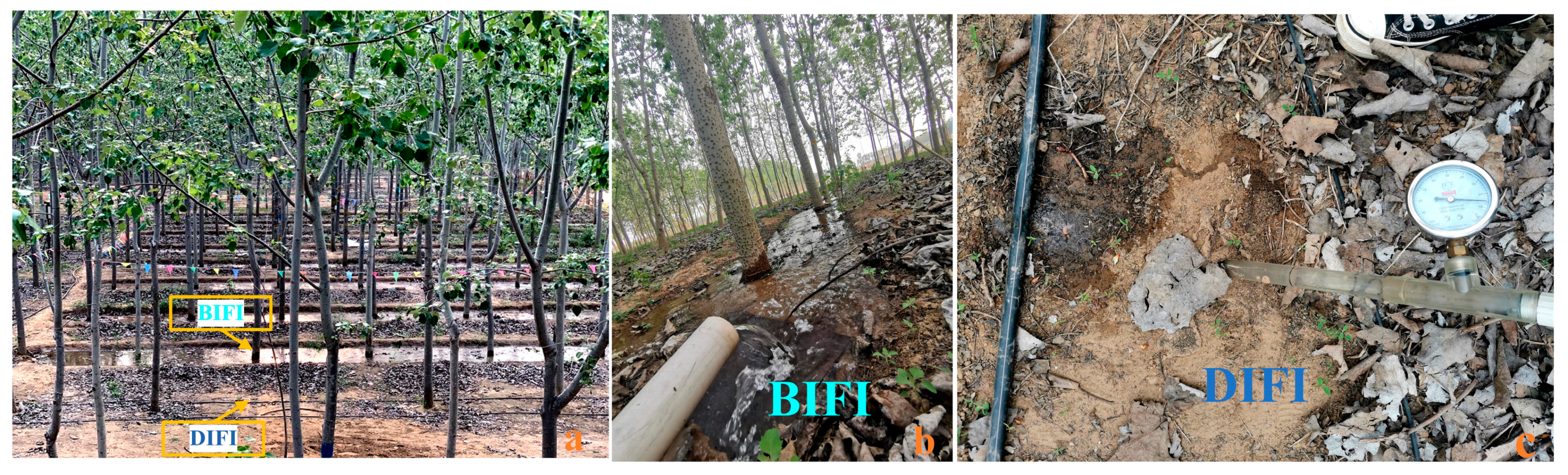 Remotesensing 14 02844 g002