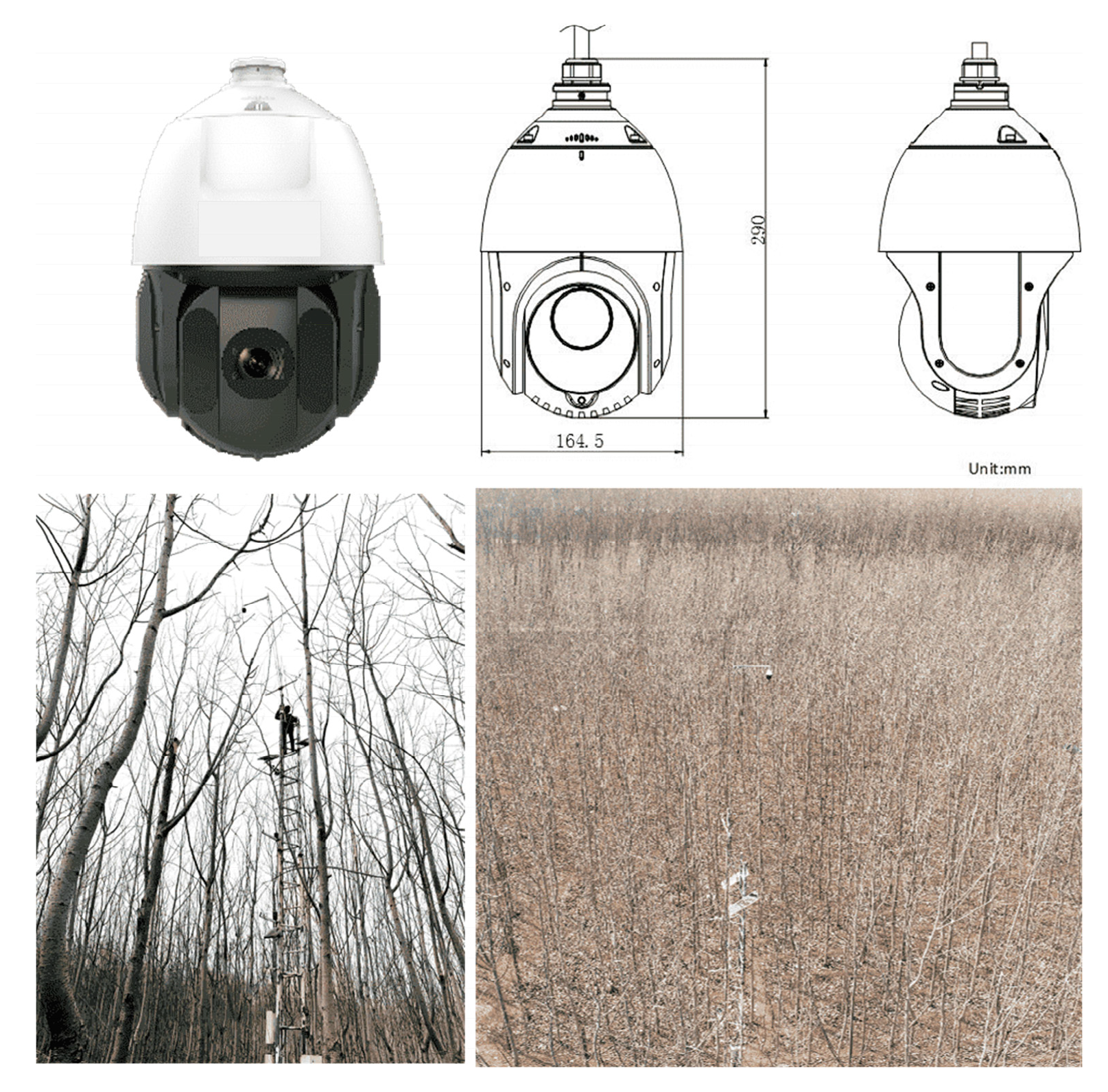 Remotesensing 14 02844 g003