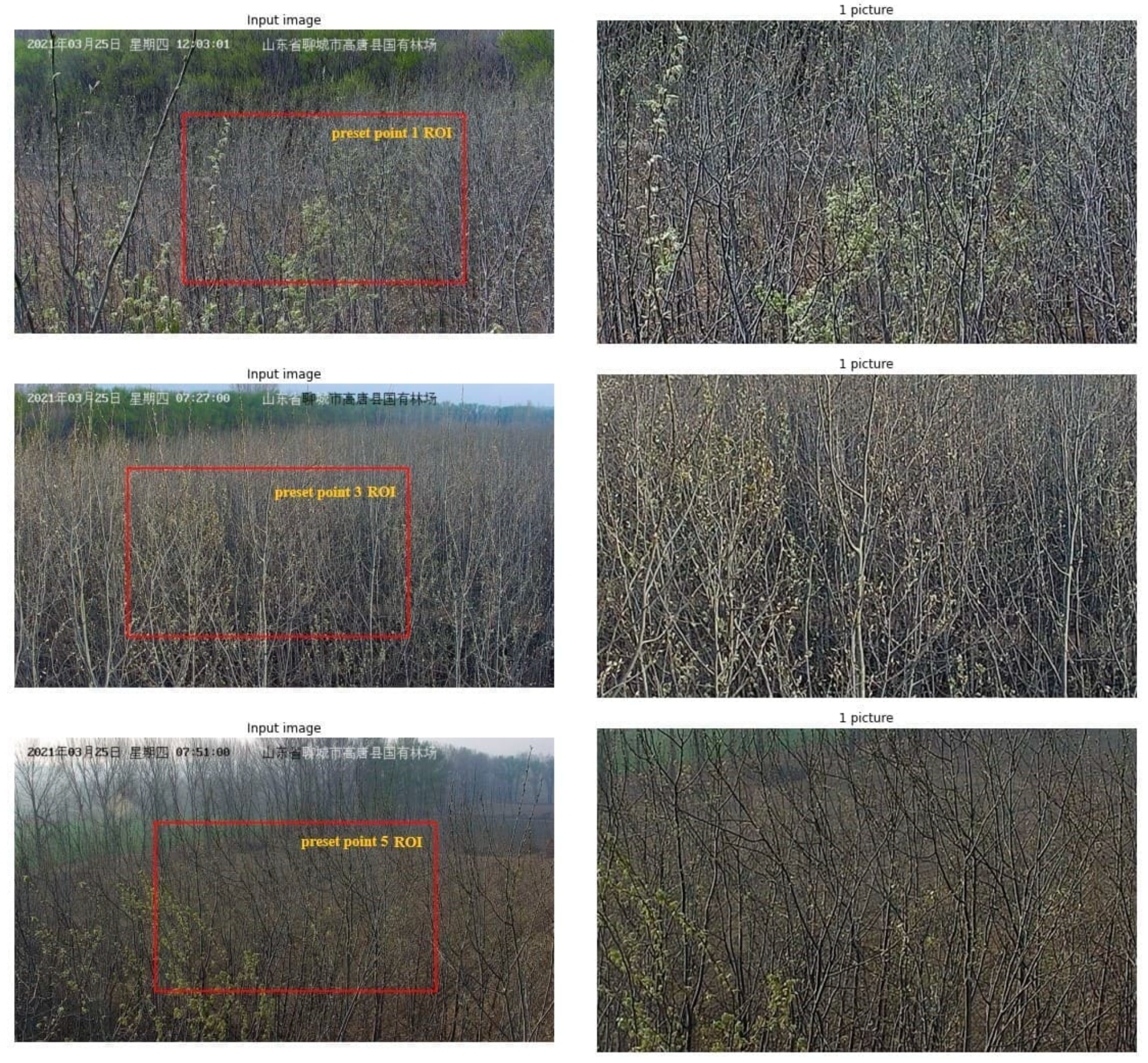 Remotesensing 14 02844 g004