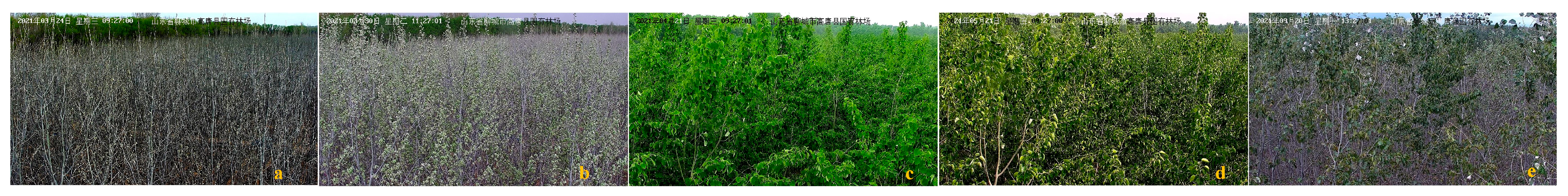 Remotesensing 14 02844 g005