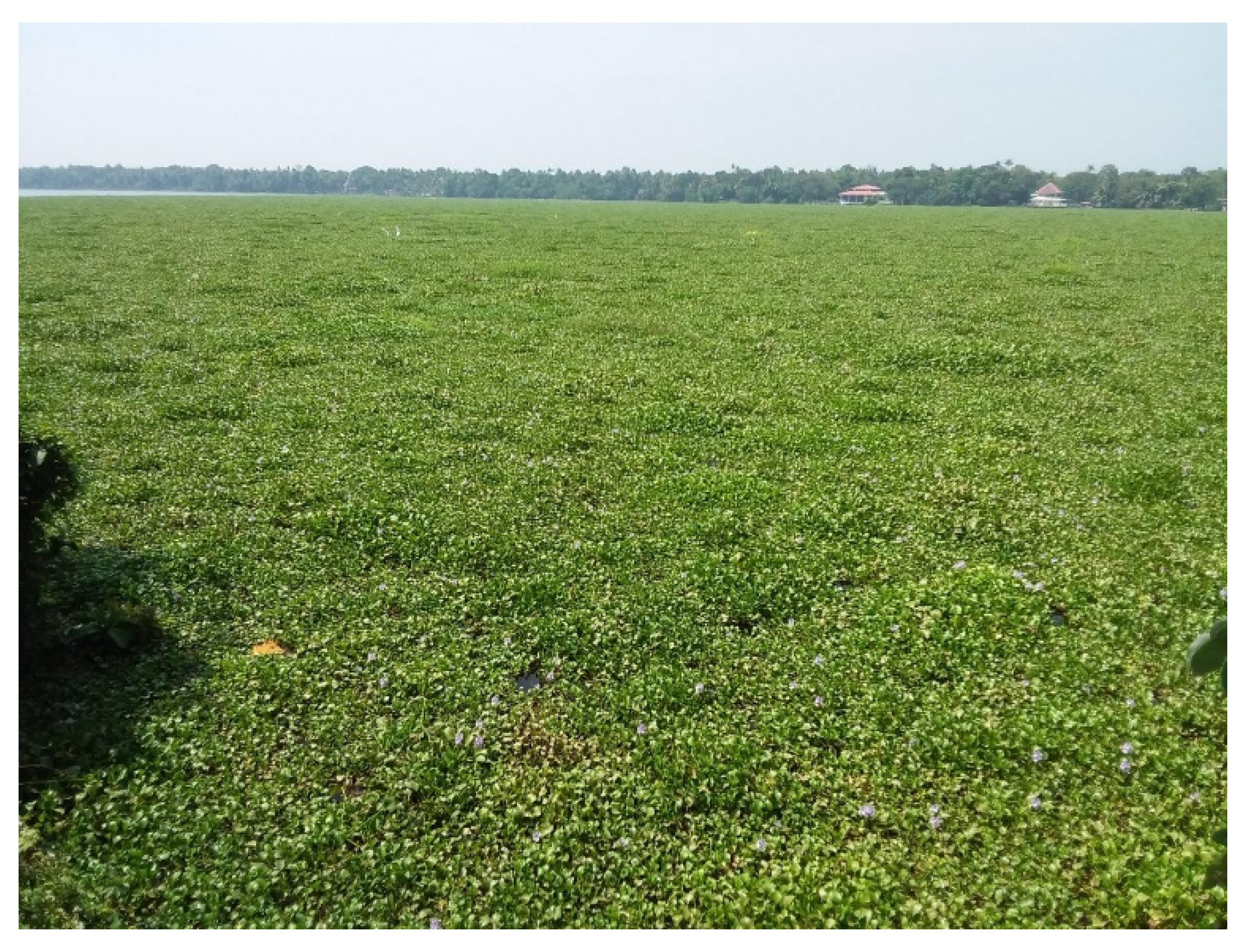 Remotesensing 14 02845 g003 Remotesensing 14 02845 g003