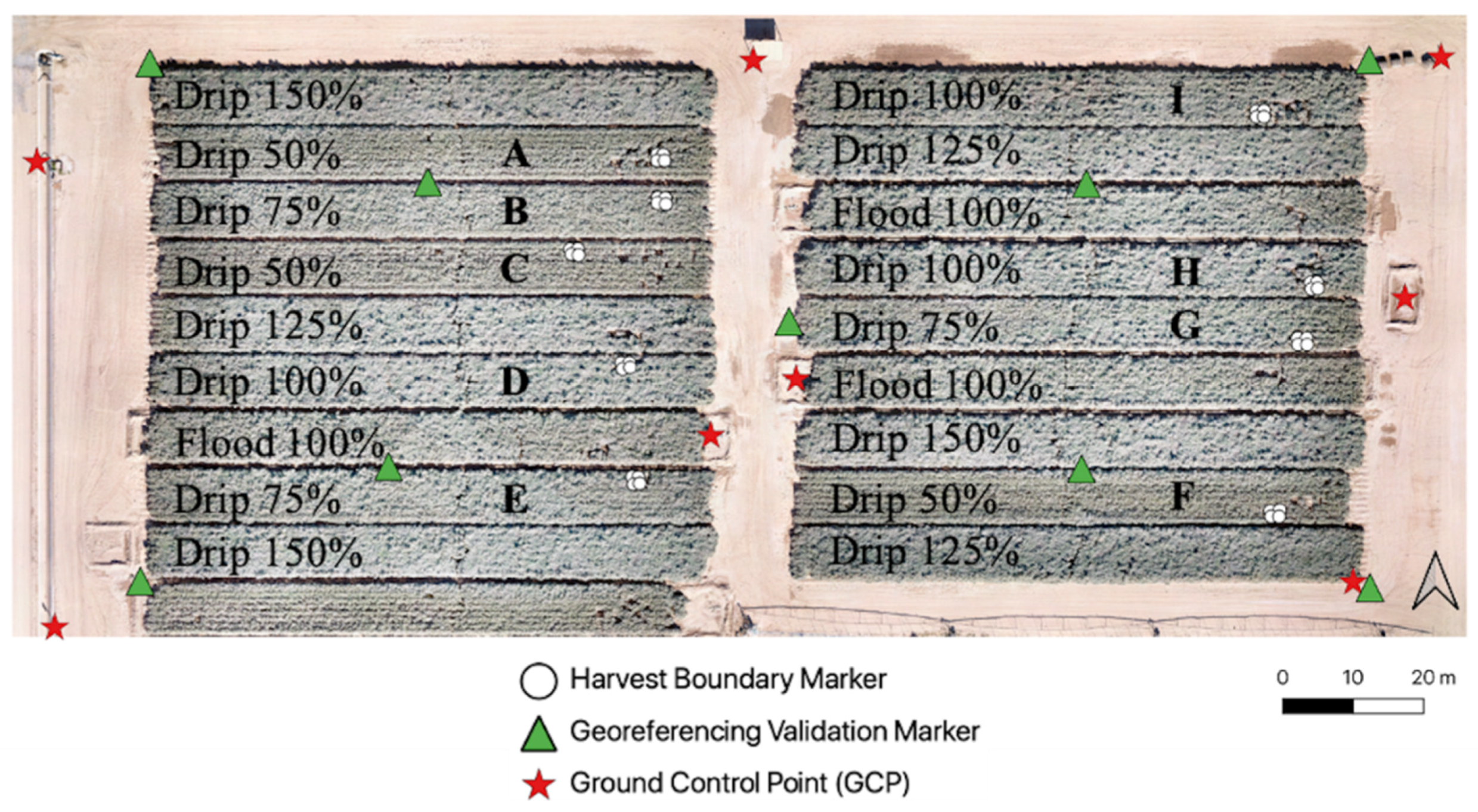 Remotesensing 14 02867 g001