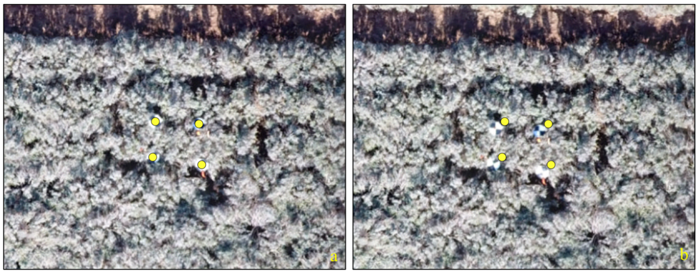 Remotesensing 14 02867 g003