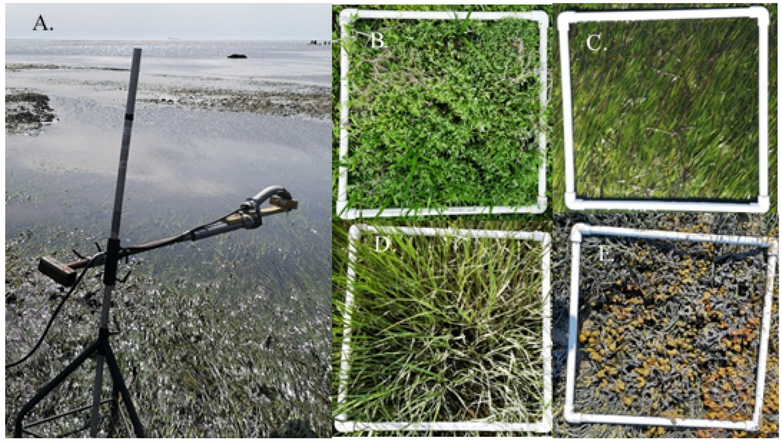 Remotesensing 14 03000 g003