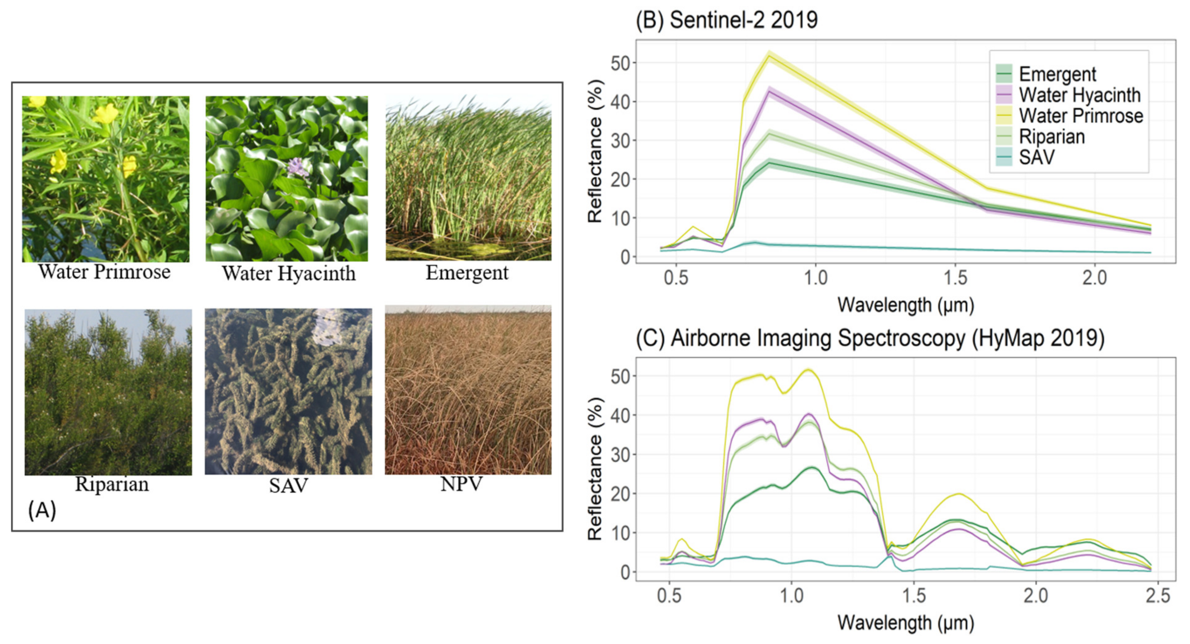 Remotesensing 14 03013 g001 550