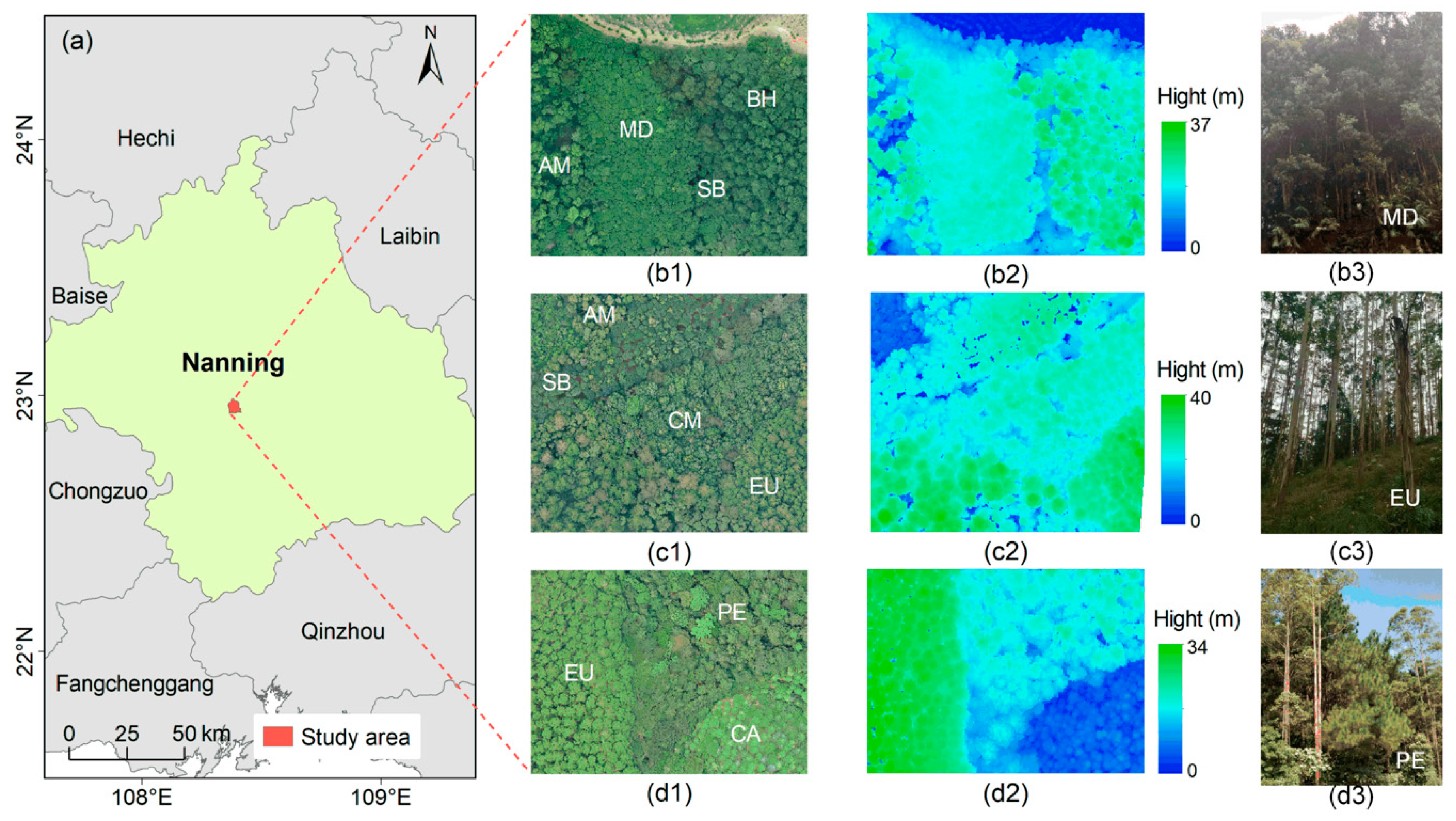 Remotesensing 14 03035 g001 550