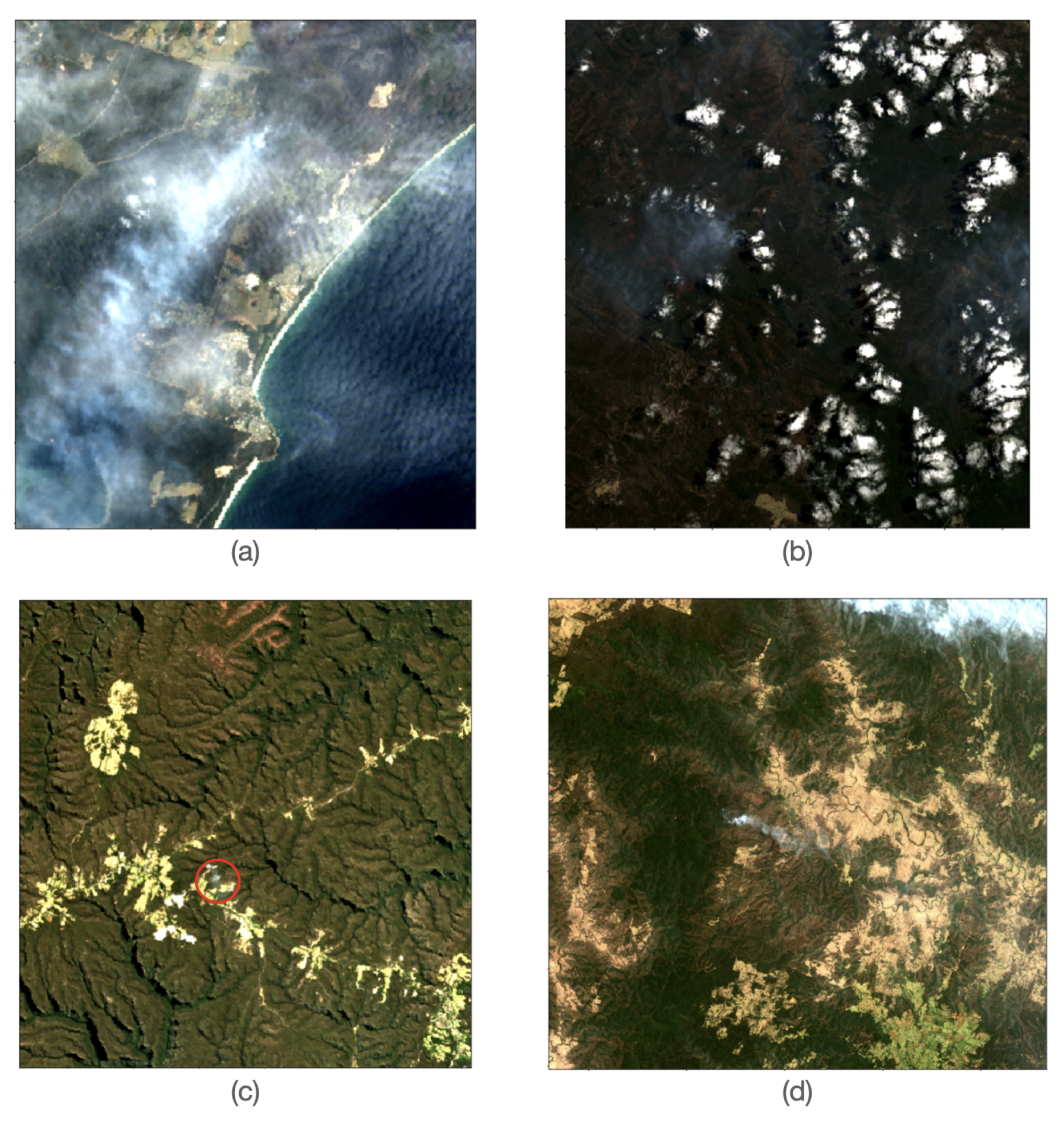 Remotesensing 14 03047 g009 550