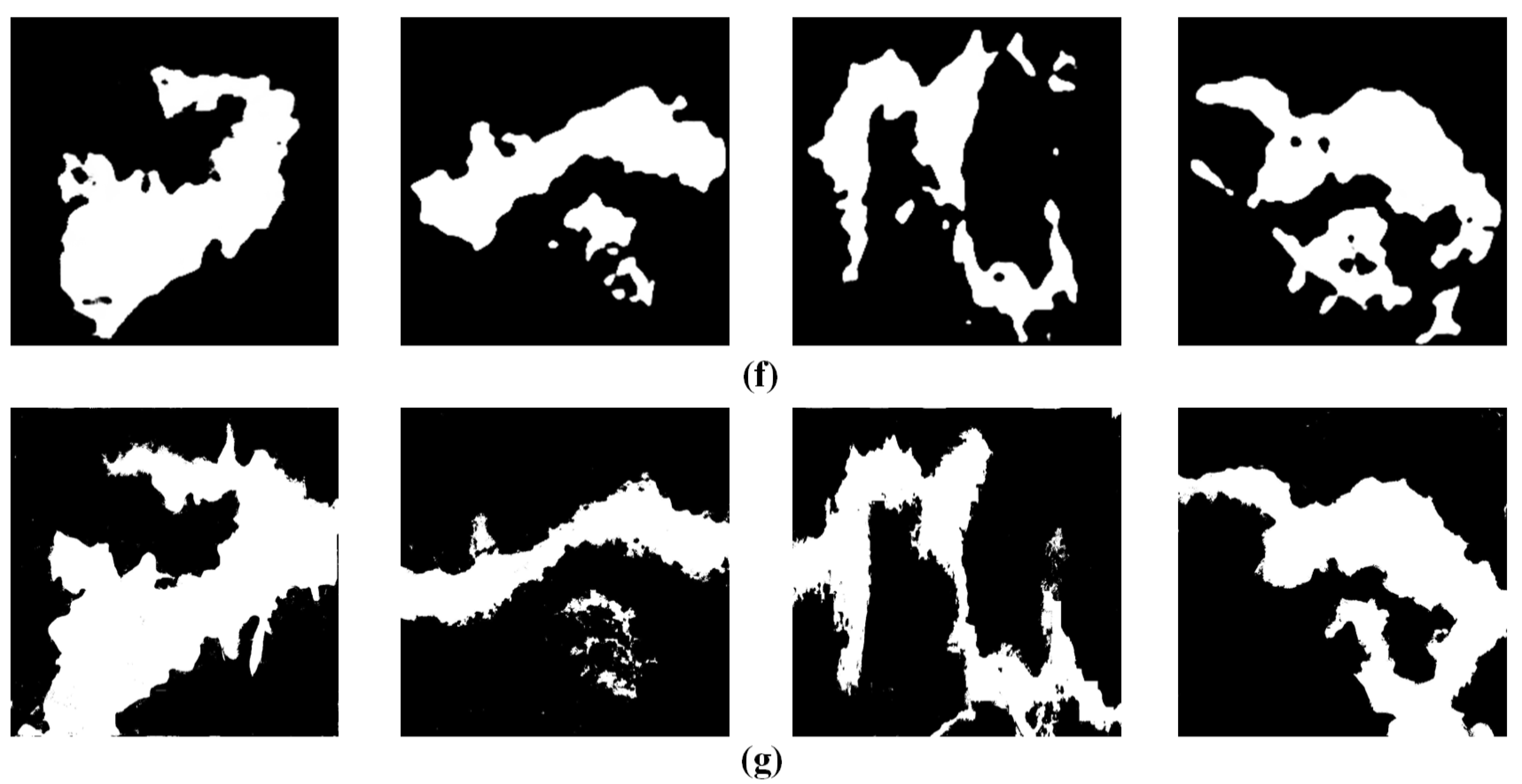 Remotesensing 14 03059 g010b