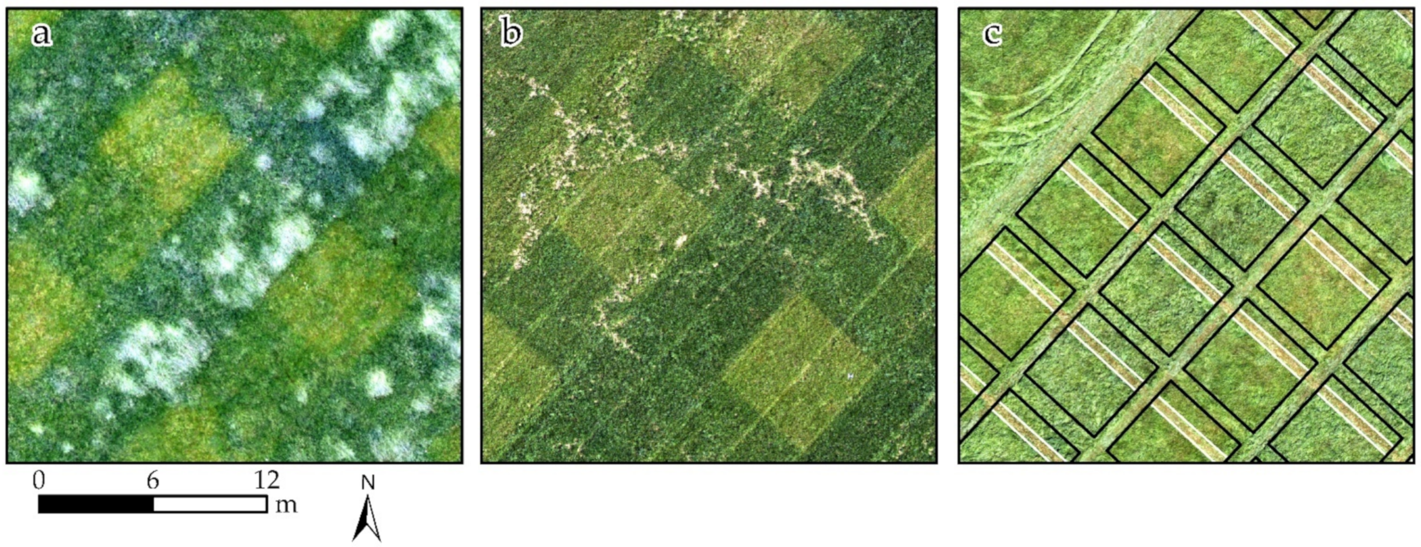 Remotesensing 14 03066 g003