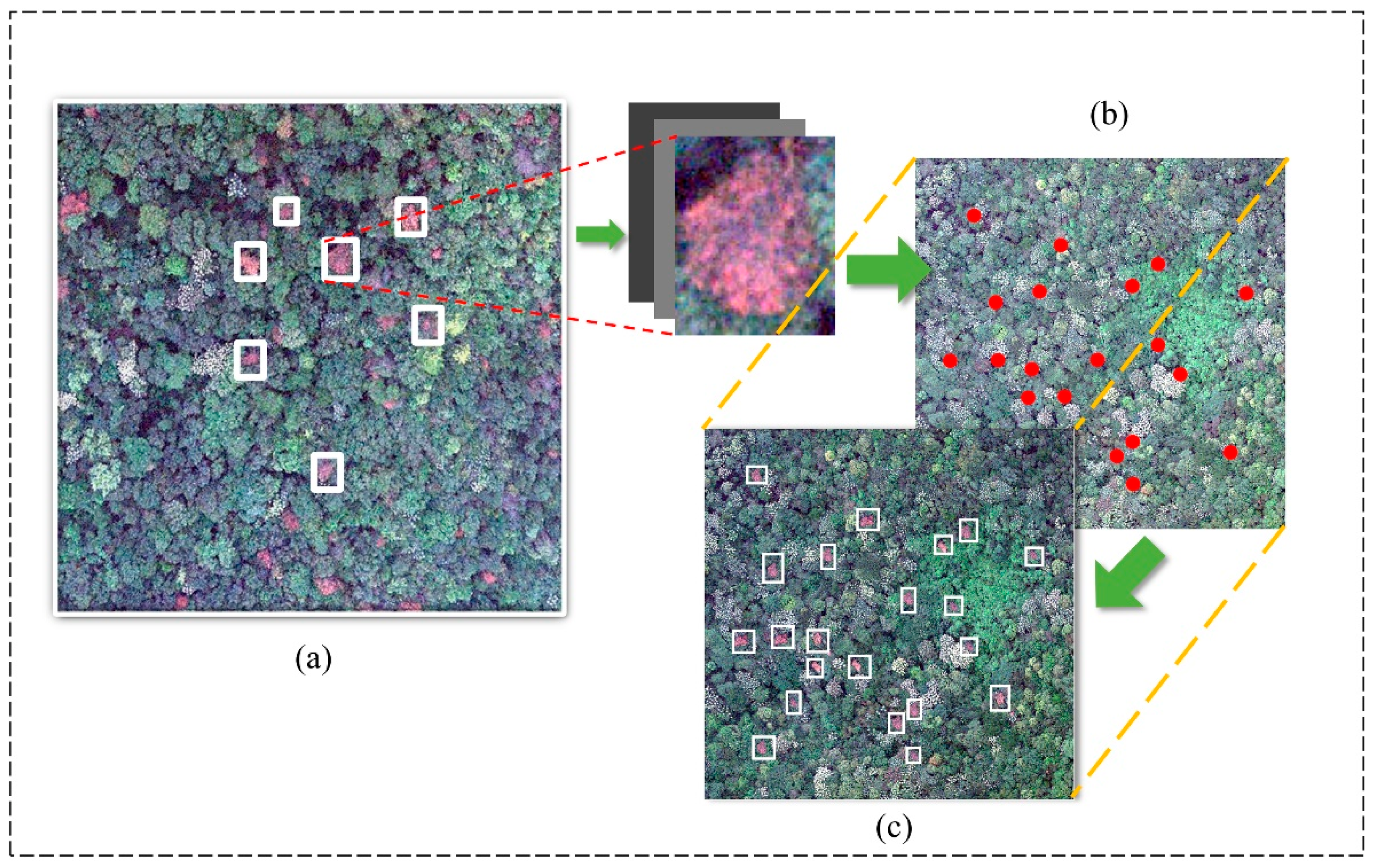 Remotesensing 14 03075 g003