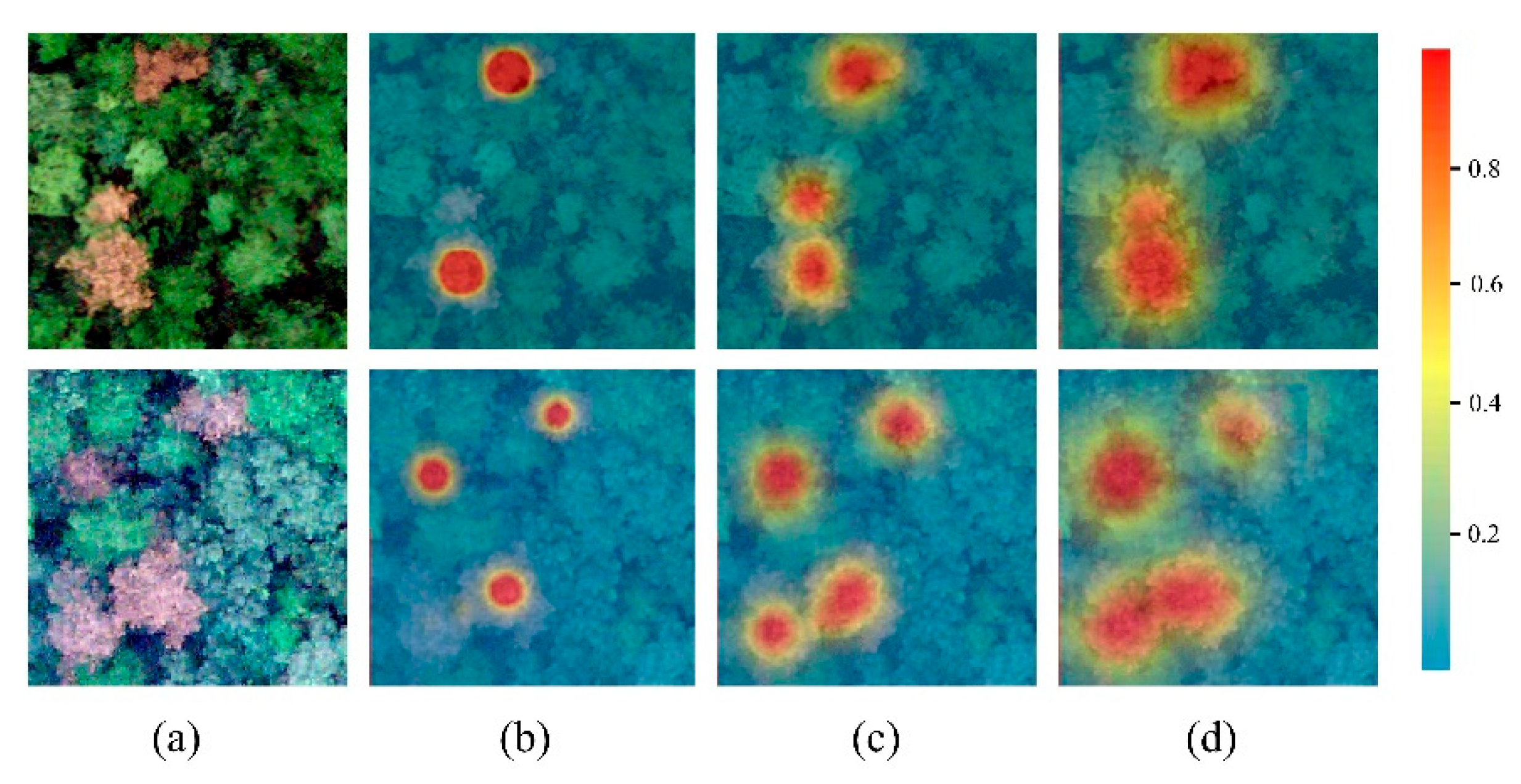 Remotesensing 14 03075 g006