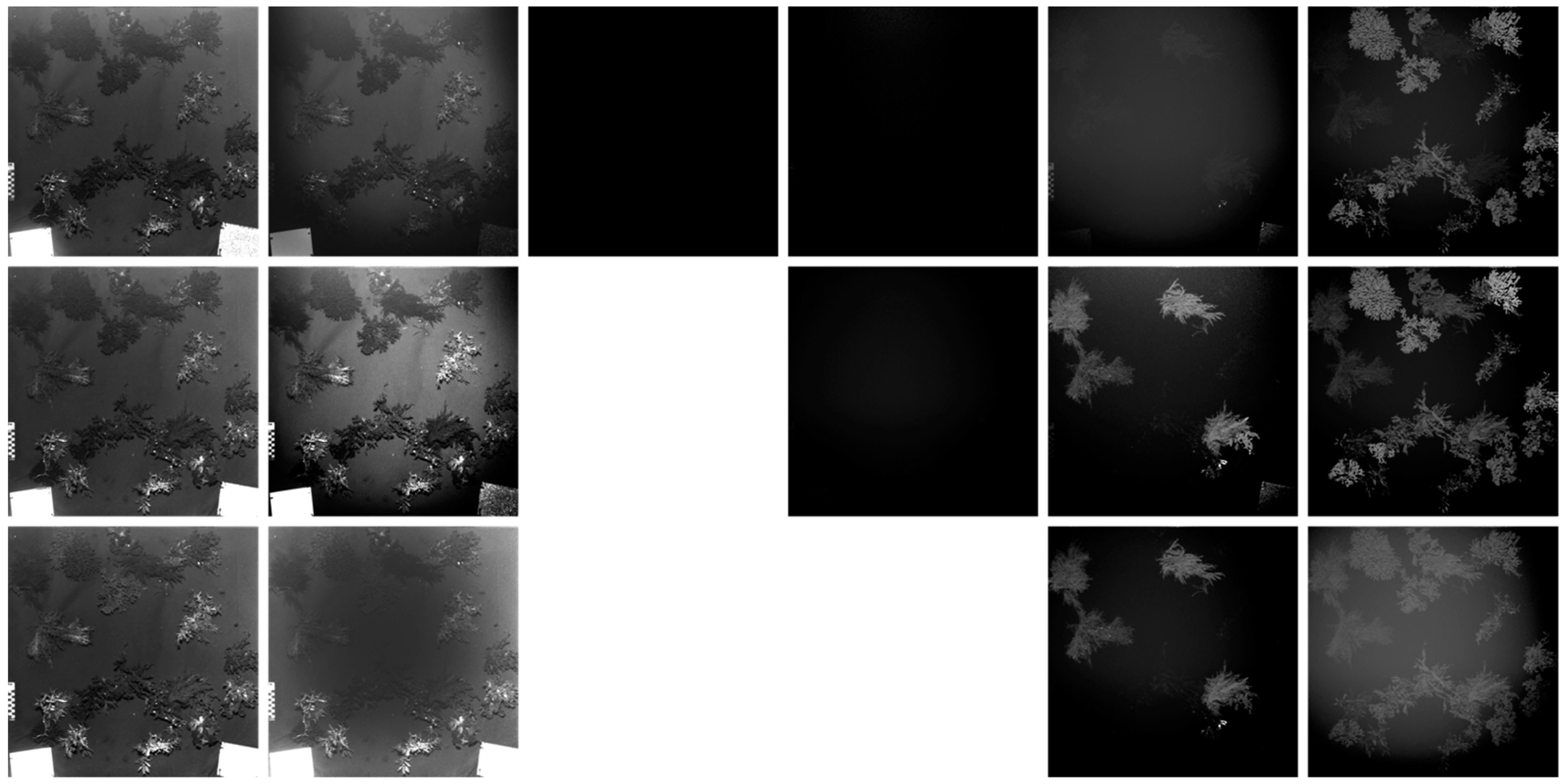 Remotesensing 14 03105 g005