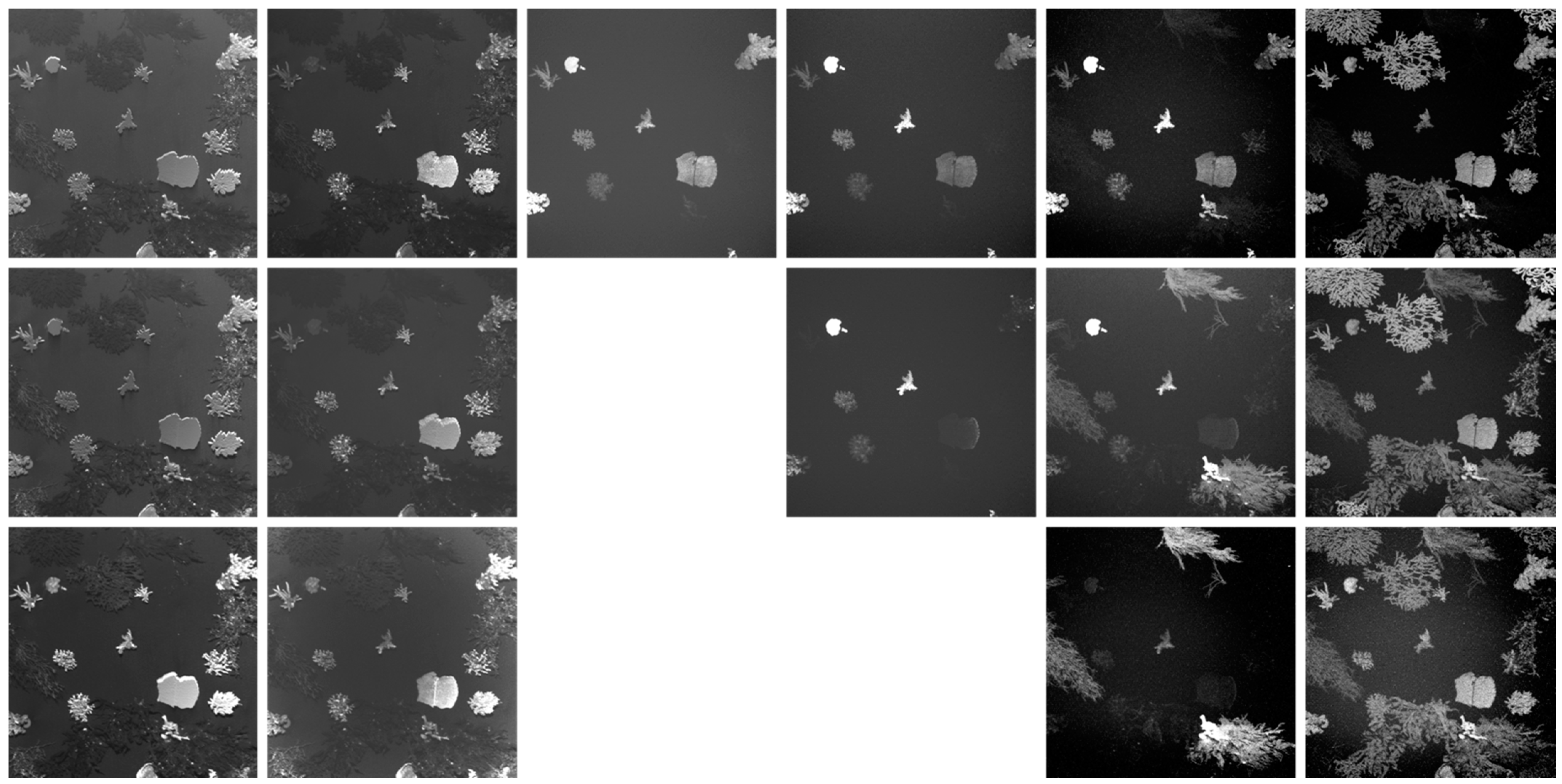 Remotesensing 14 03105 g007