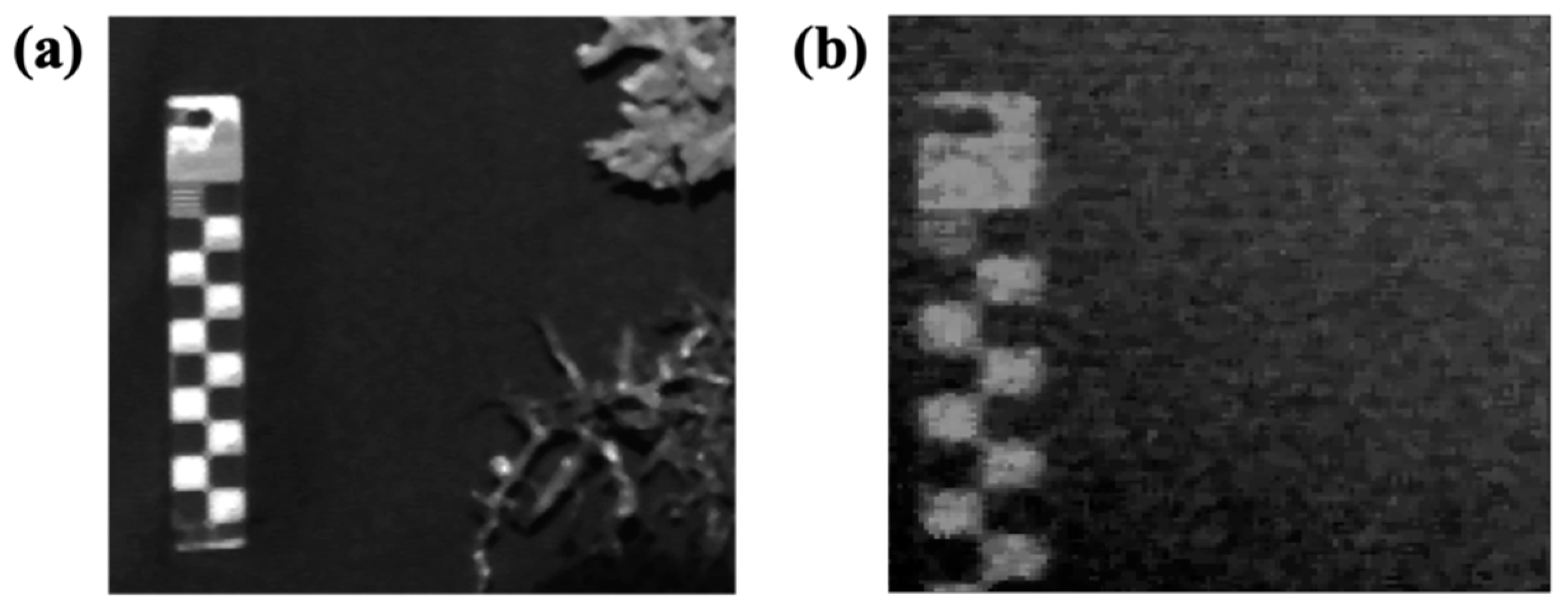 Remotesensing 14 03105 g009