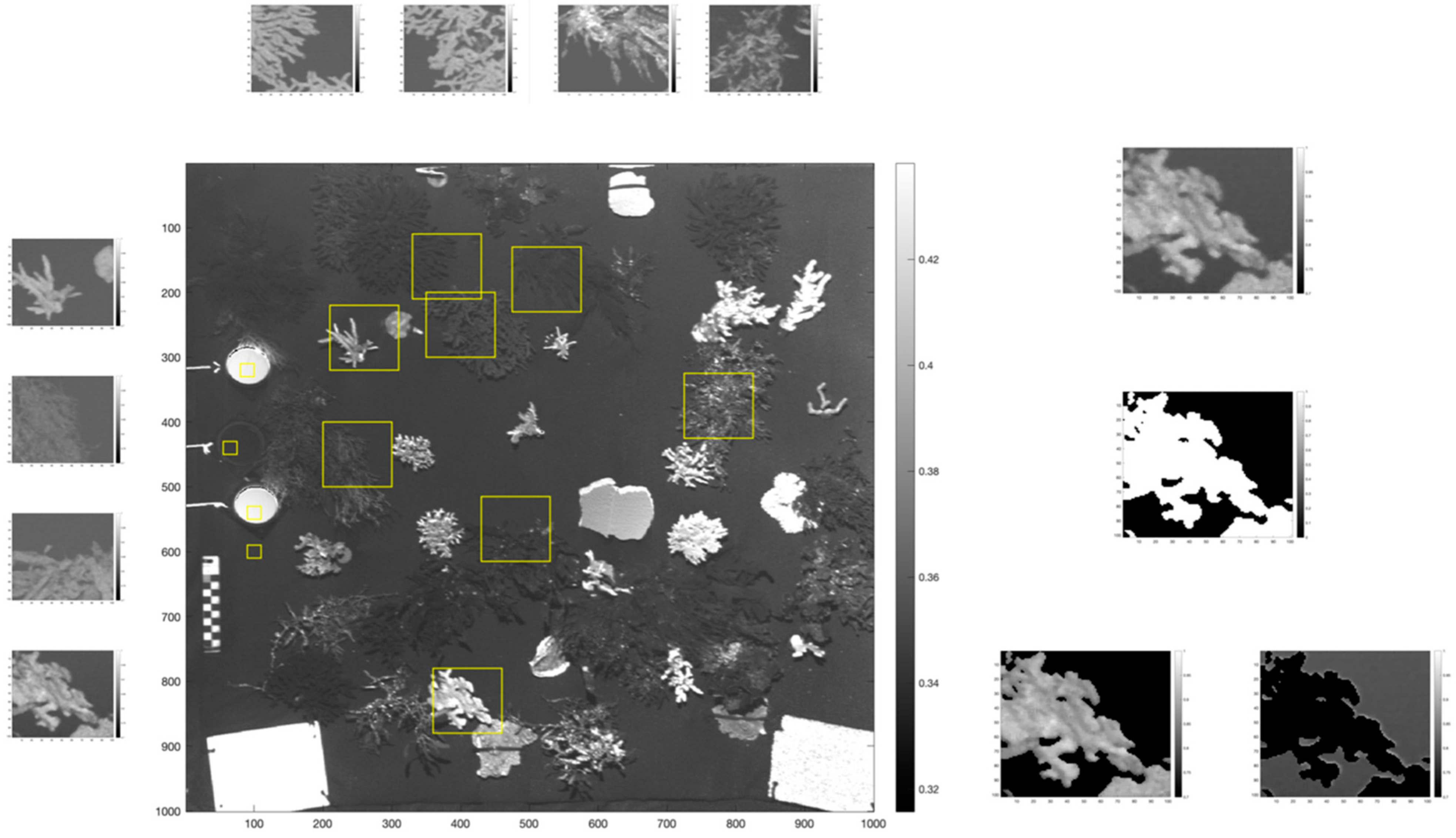 Remotesensing 14 03105 g010