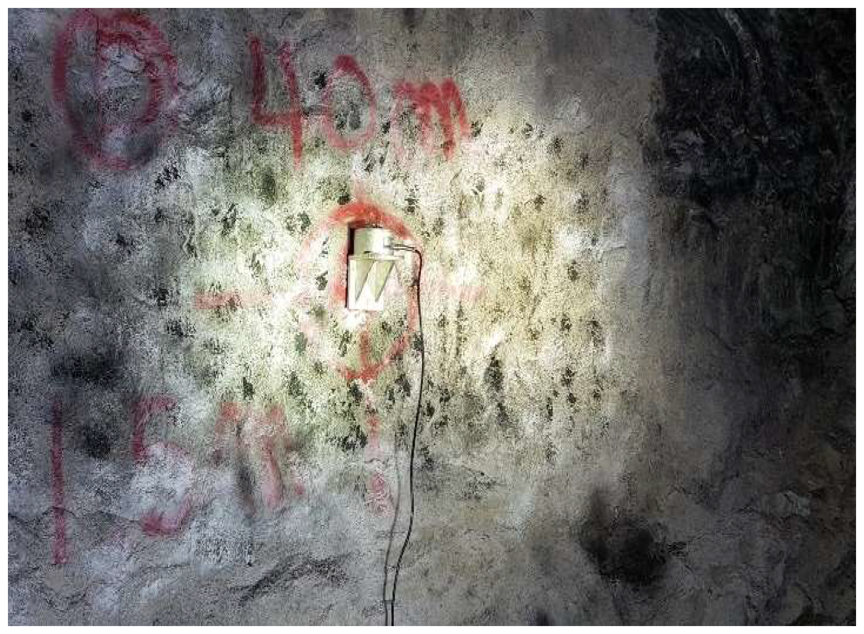 Remotesensing 14 03133 g004 550