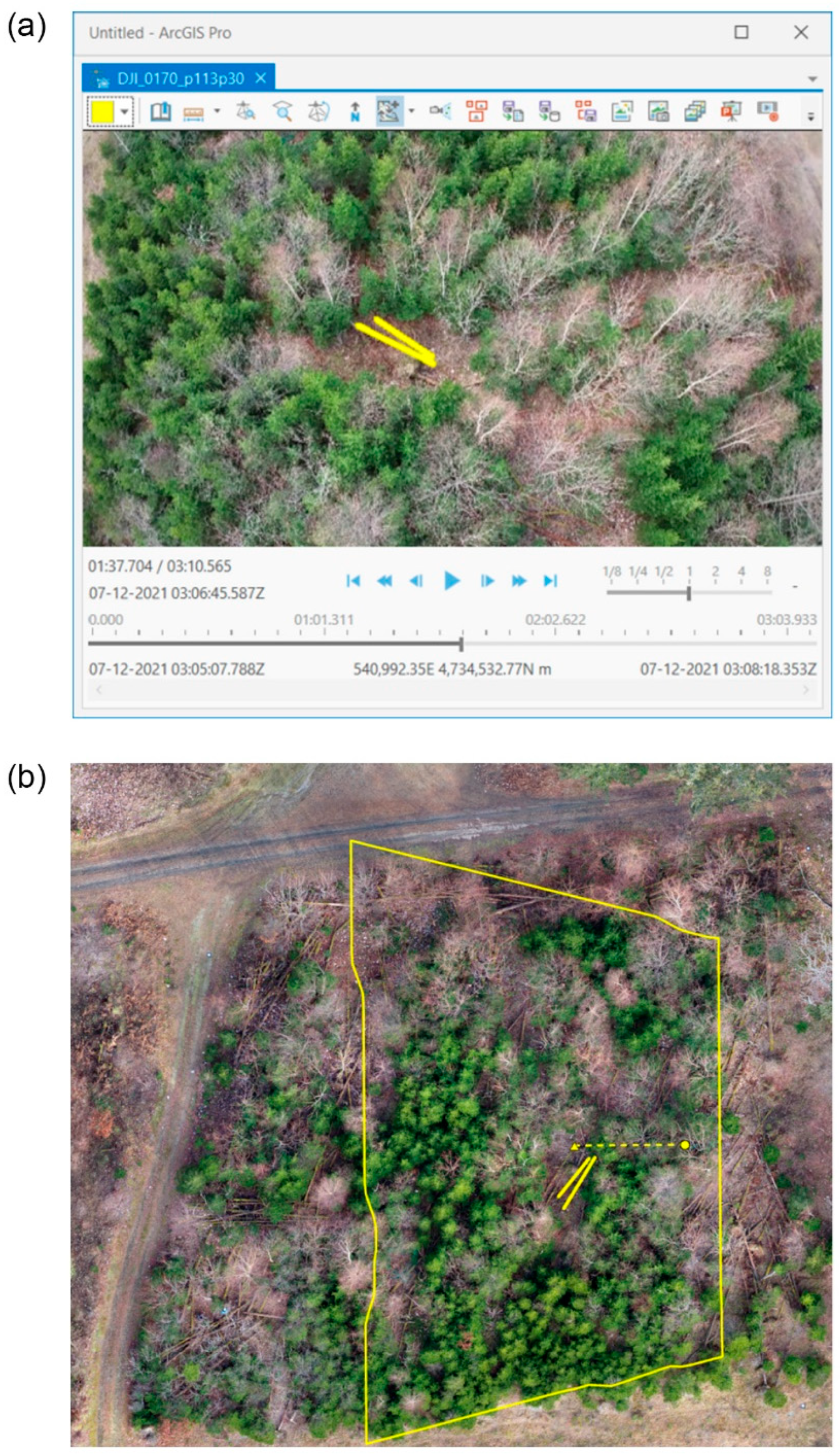 Remotesensing 14 03170 g003 550