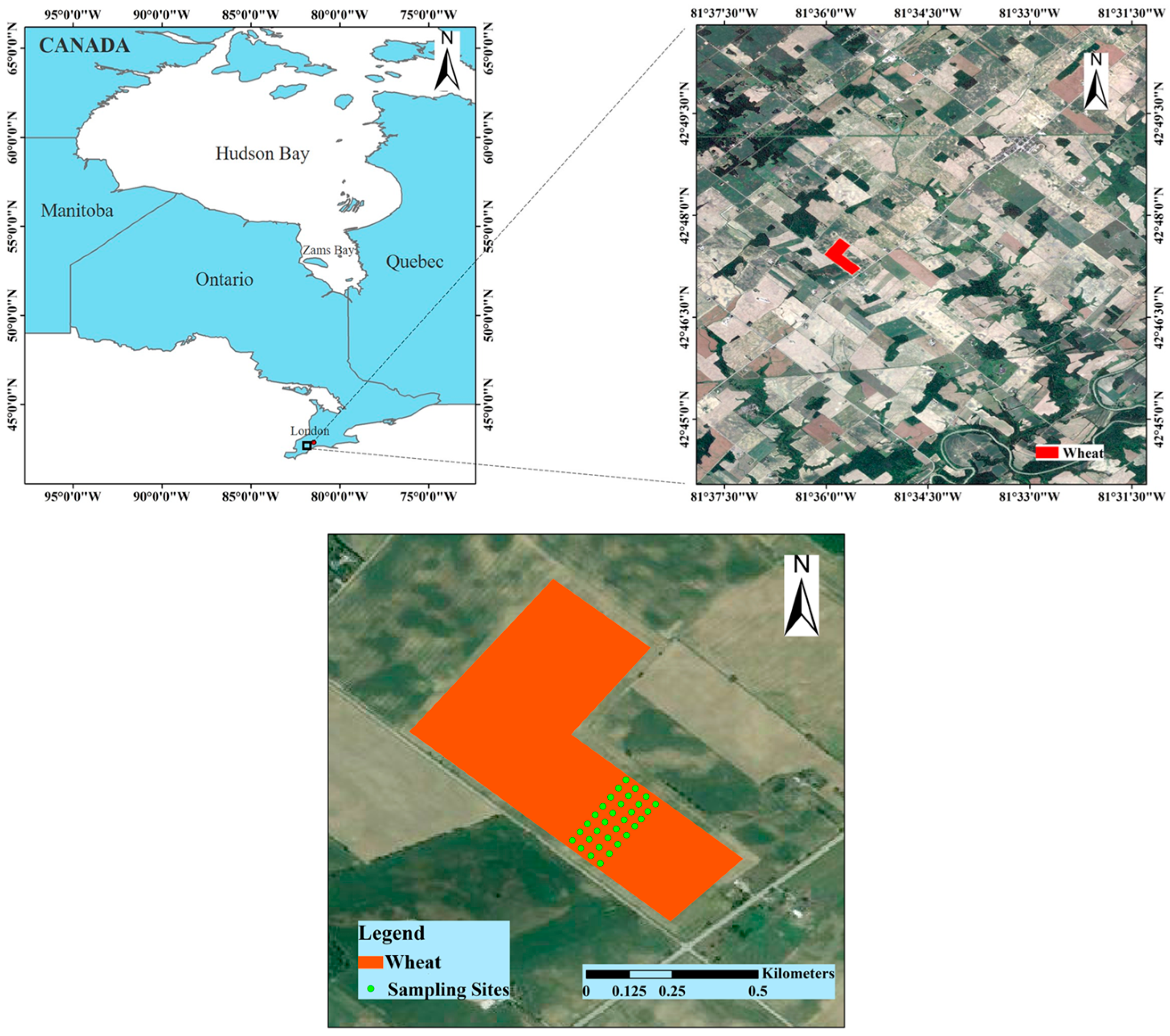 Remotesensing 14 03210 g001