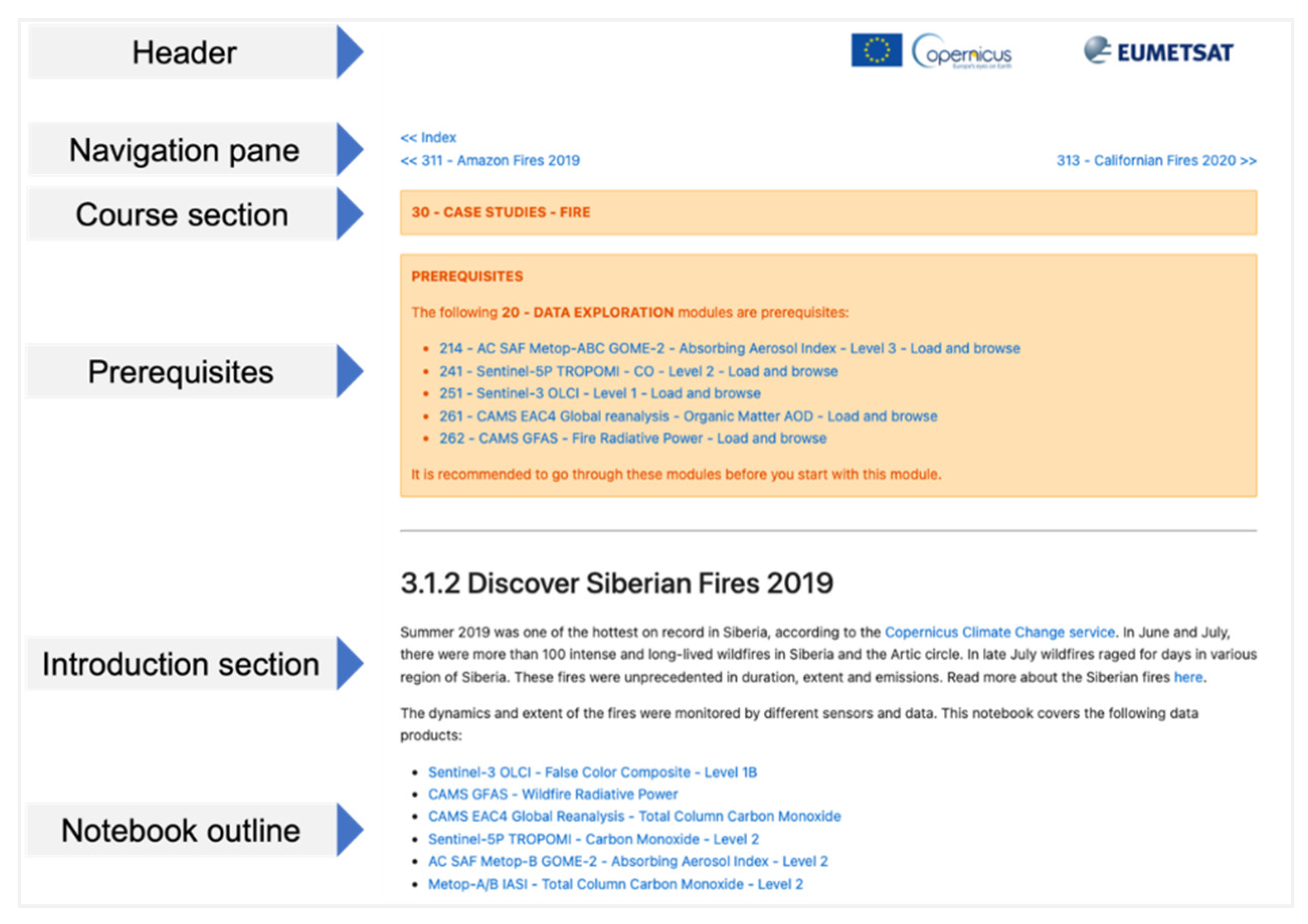 Five Guiding Principles to Make Jupyter Notebooks Fit for Earth ...