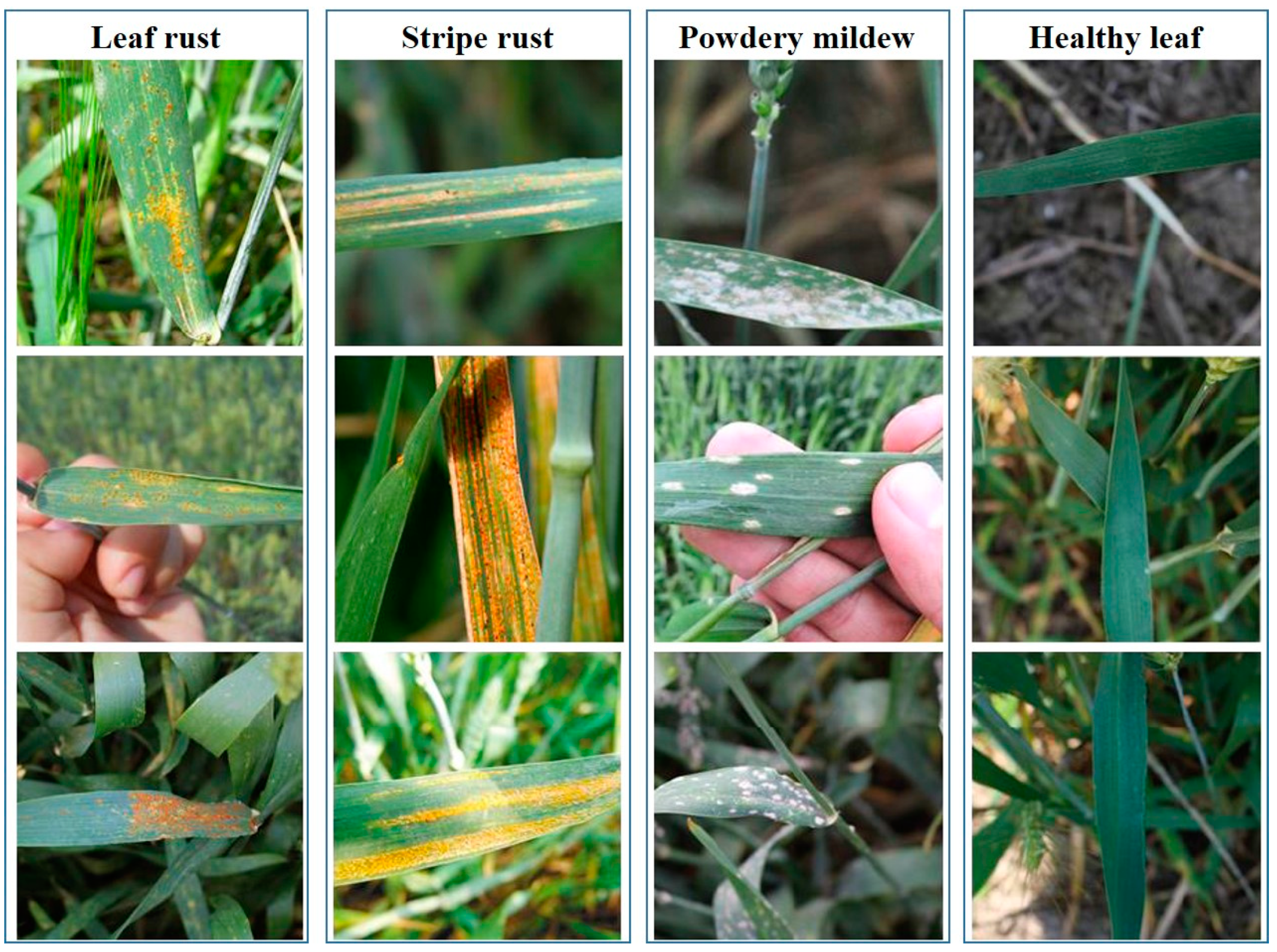 Remotesensing 14 03446 g001