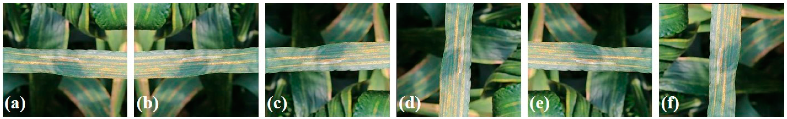 Remotesensing 14 03446 g002