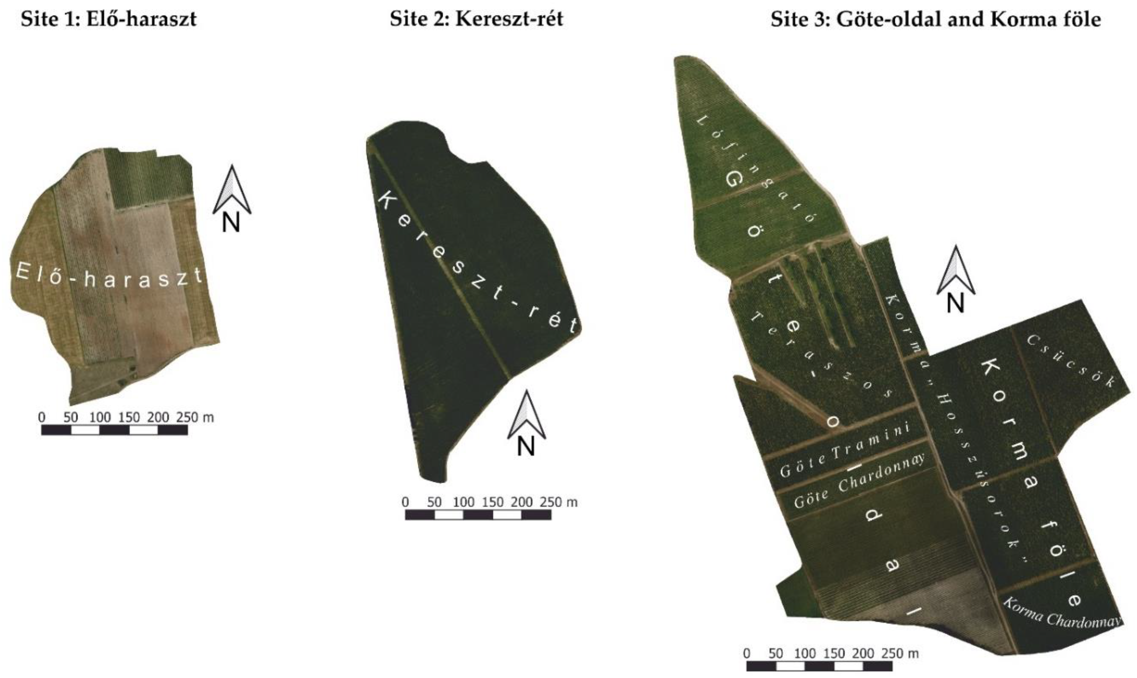 Remotesensing 14 03463 g002 550