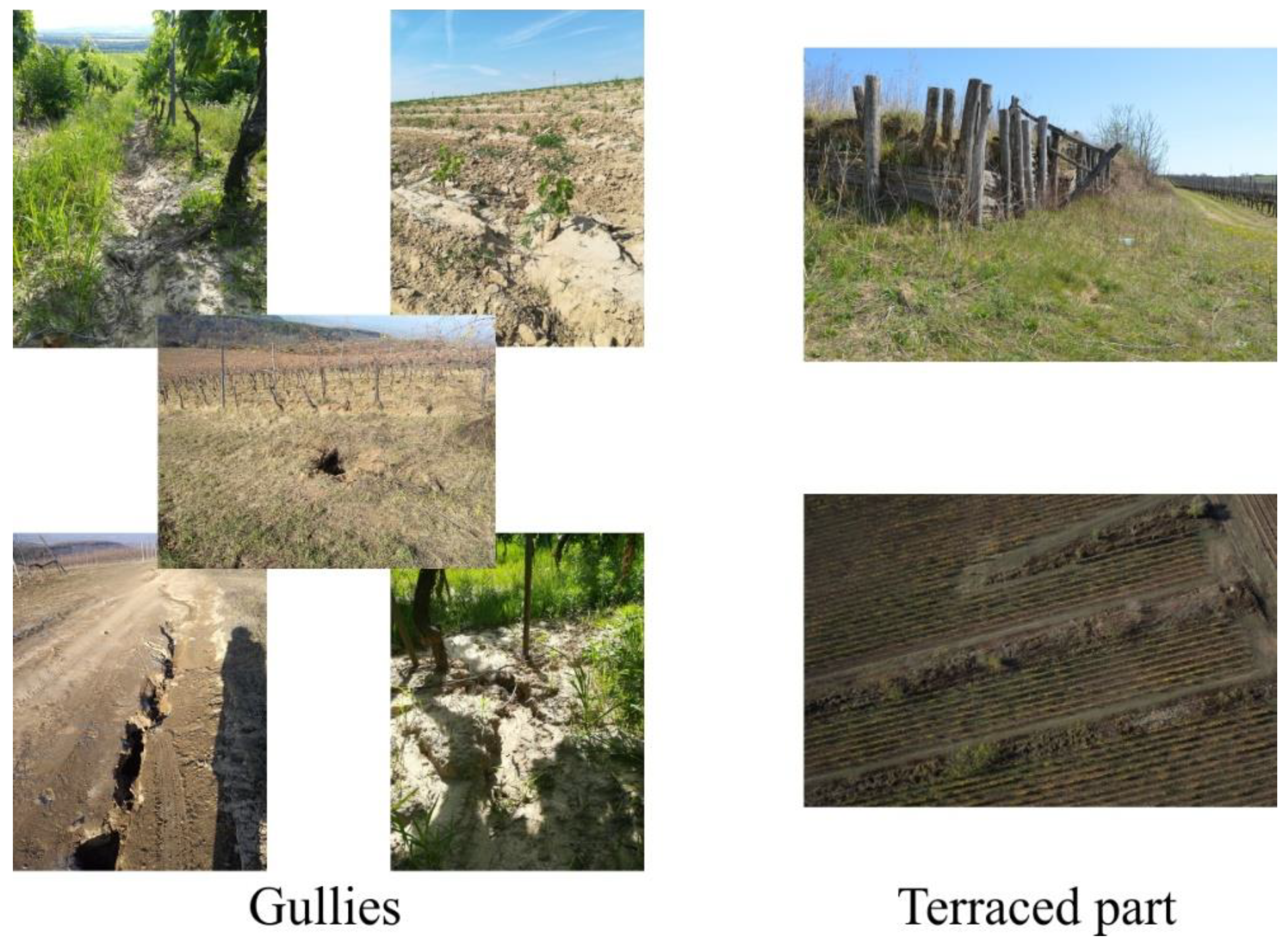 Remotesensing 14 03463 g003 550