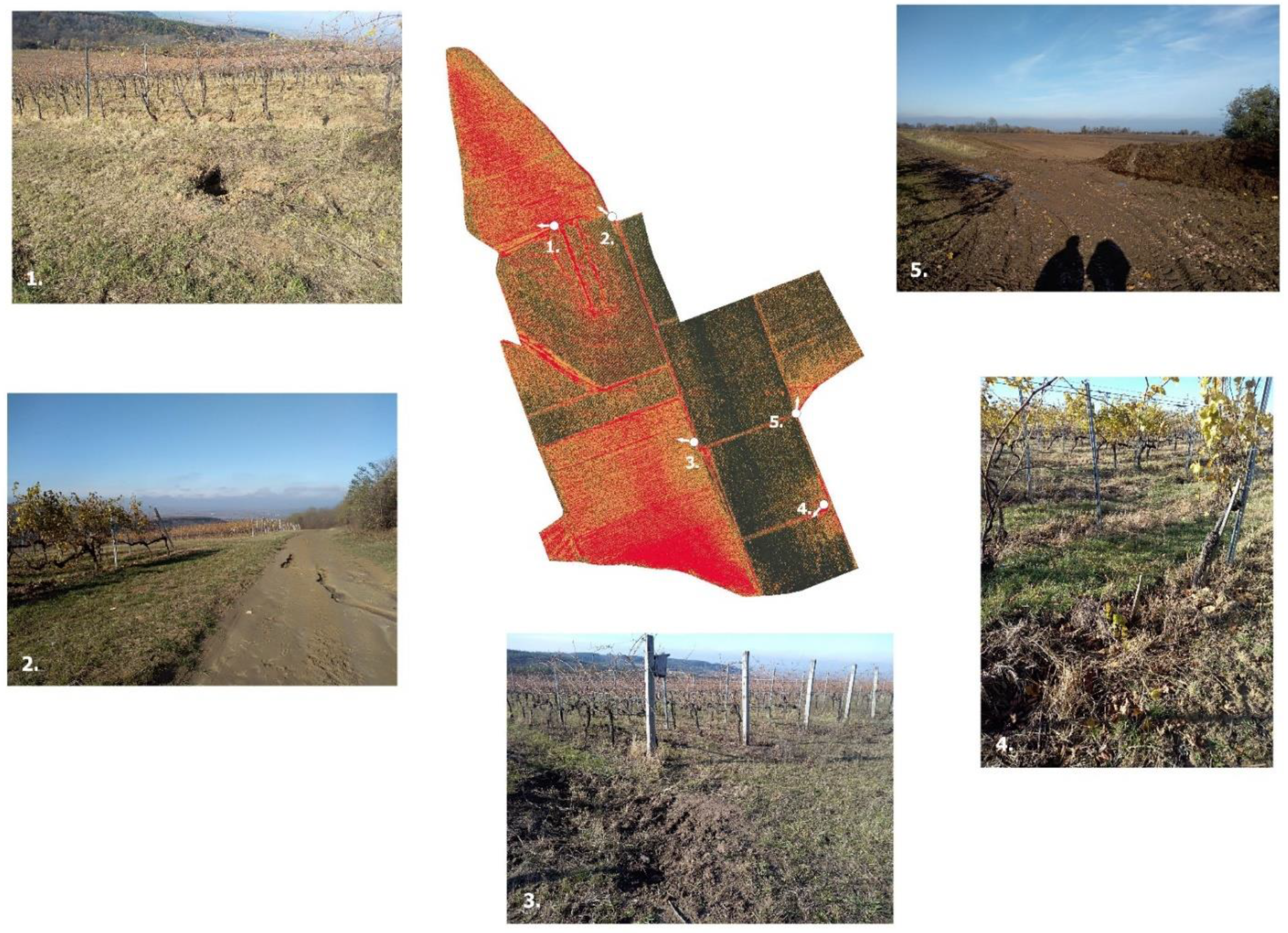 Remotesensing 14 03463 g010 550