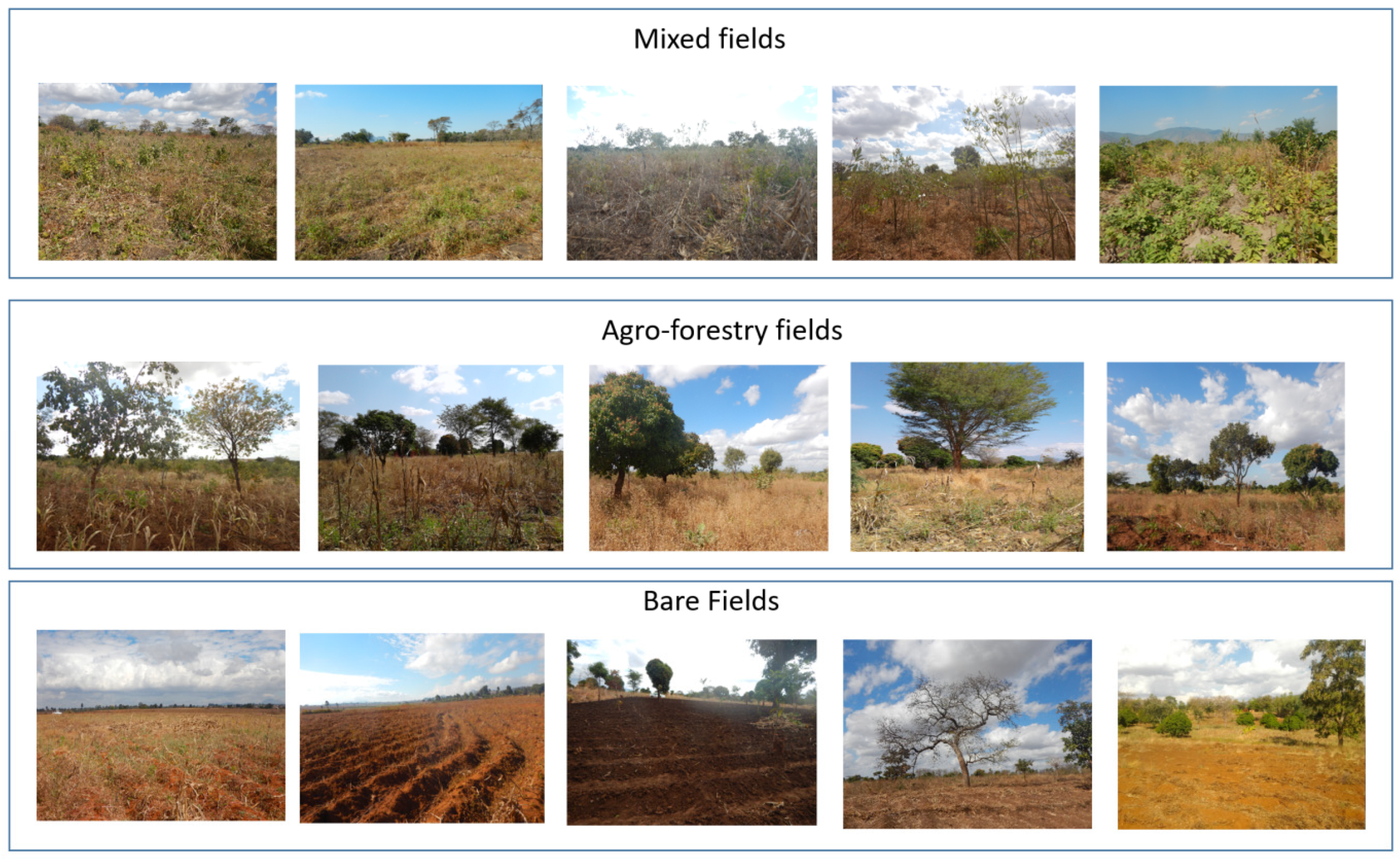 Remotesensing 14 03477 g003 550